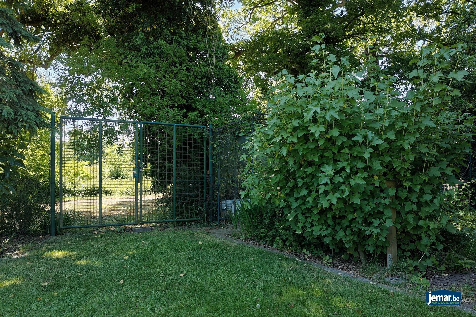 Huis foto 30