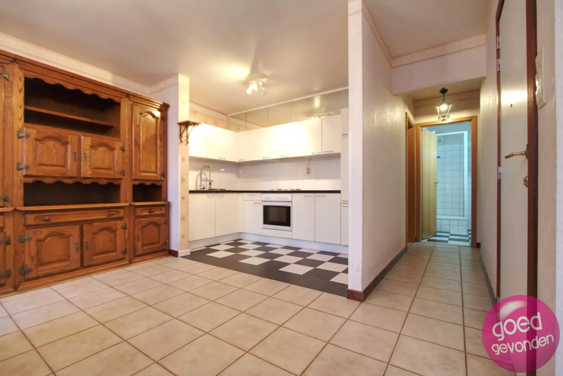 APP - 2 SLK - RUIM TERRAS - KELDER - LIFT - CENTRUM - RUSTIG foto 9