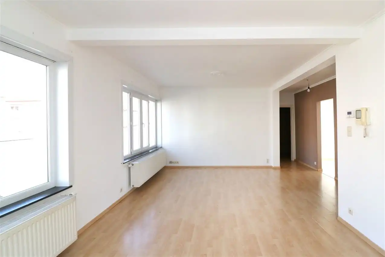 charmant, ruim, mogelijkheid beroep of kangoeroe foto 4