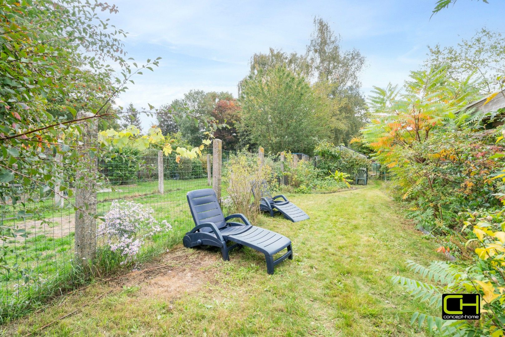 Te renoveren woning met ruime tuin te koop in Lievegem foto 18