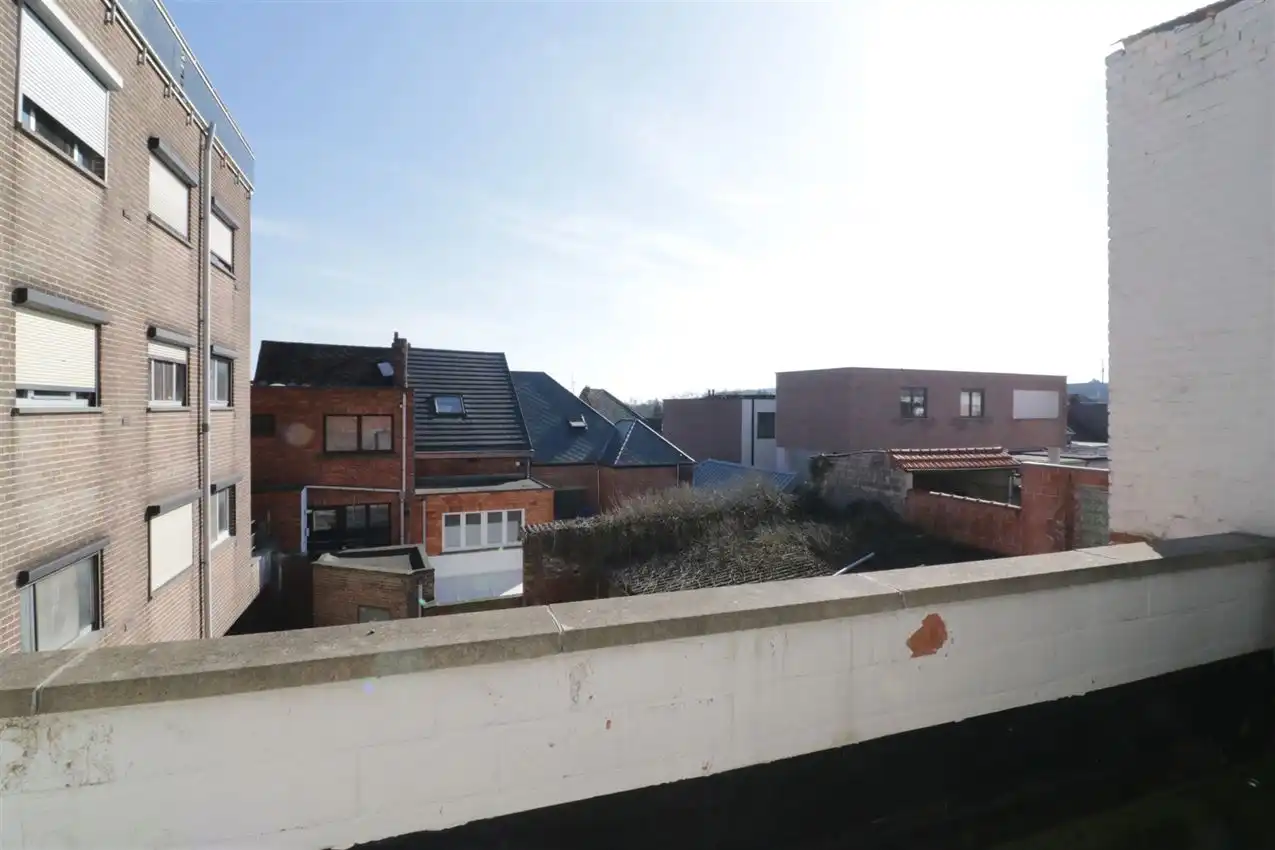 charmant, ruim, mogelijkheid beroep of kangoeroe foto 8