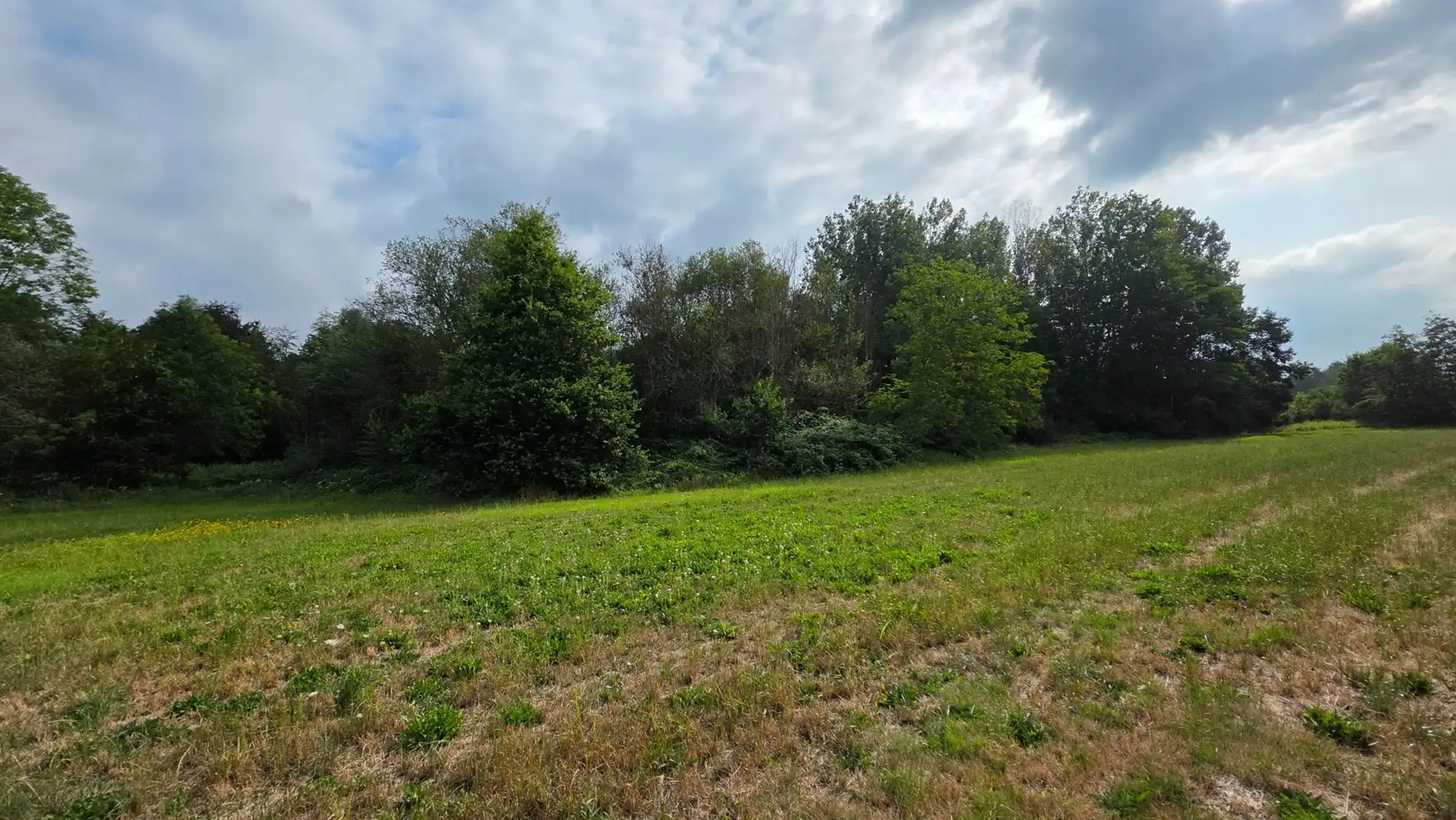 GROEN PERCEEL VAN 3.410 M² IN BETEKOM foto 3