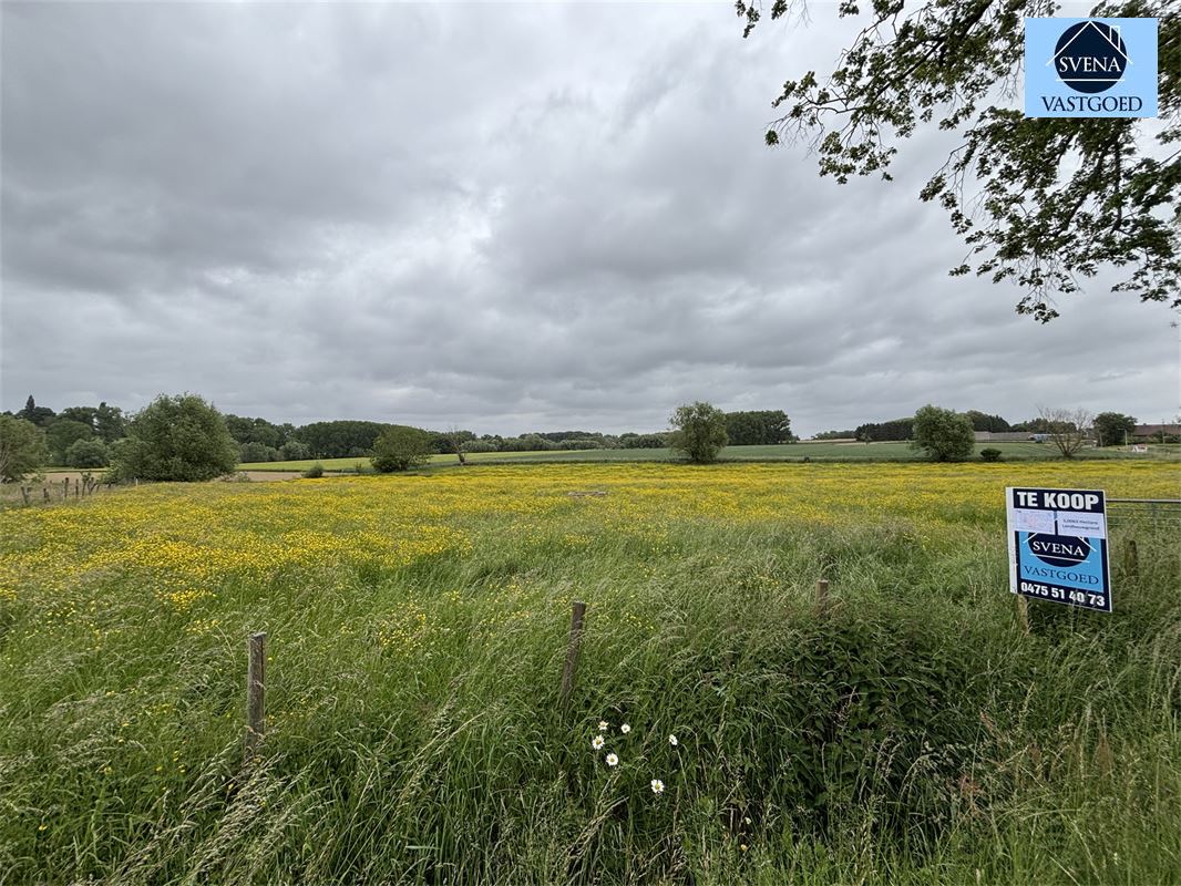 3 PERCELEN LANDBOUWGROND foto 2