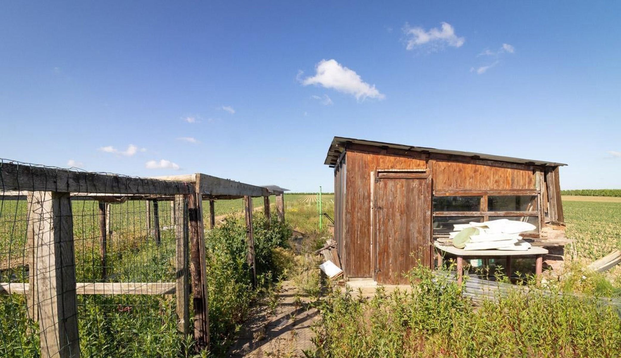 Huis te koop foto 9