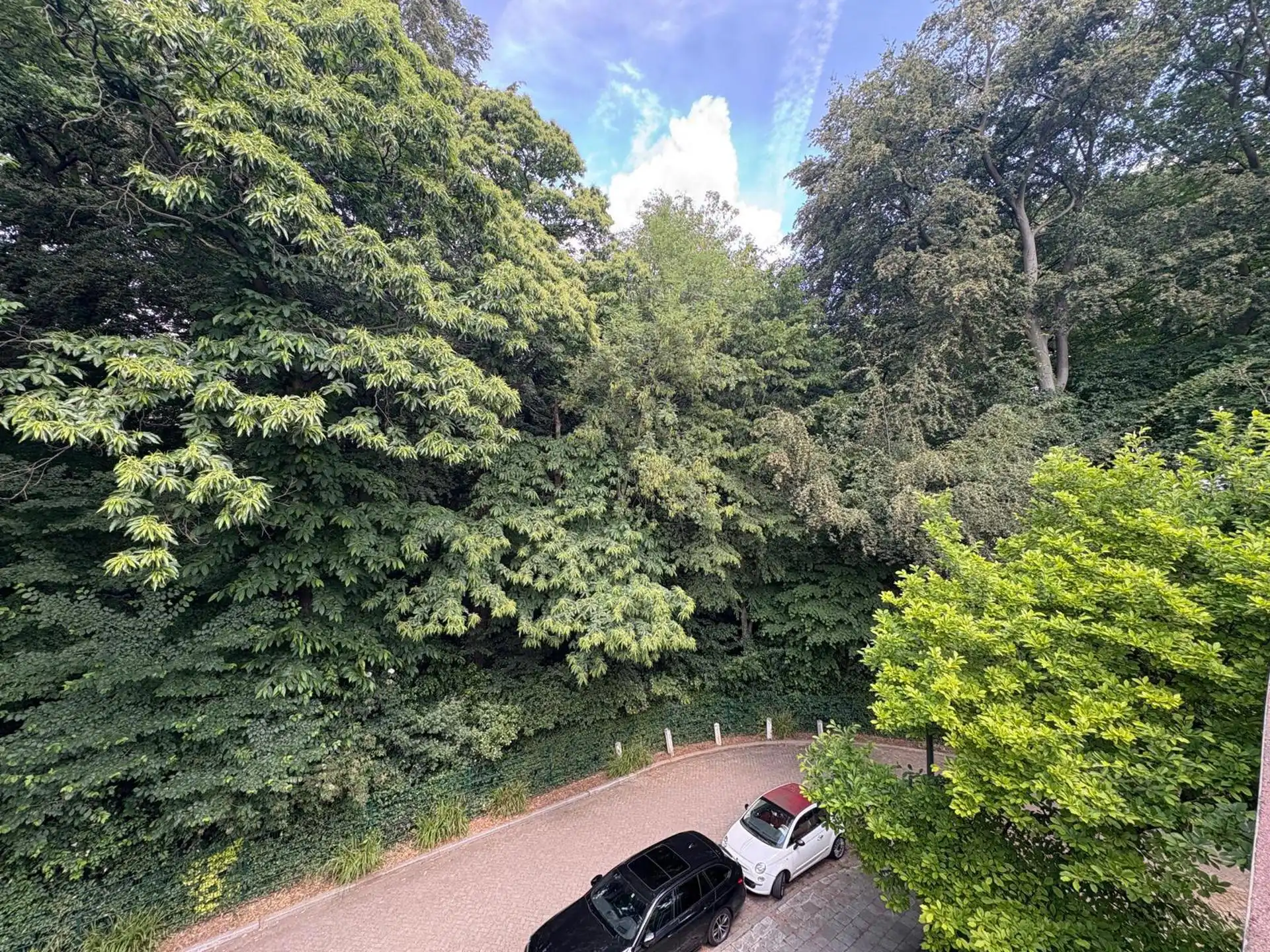 Prachtig appartement met uitzicht op Te Boelaerpark. foto 7