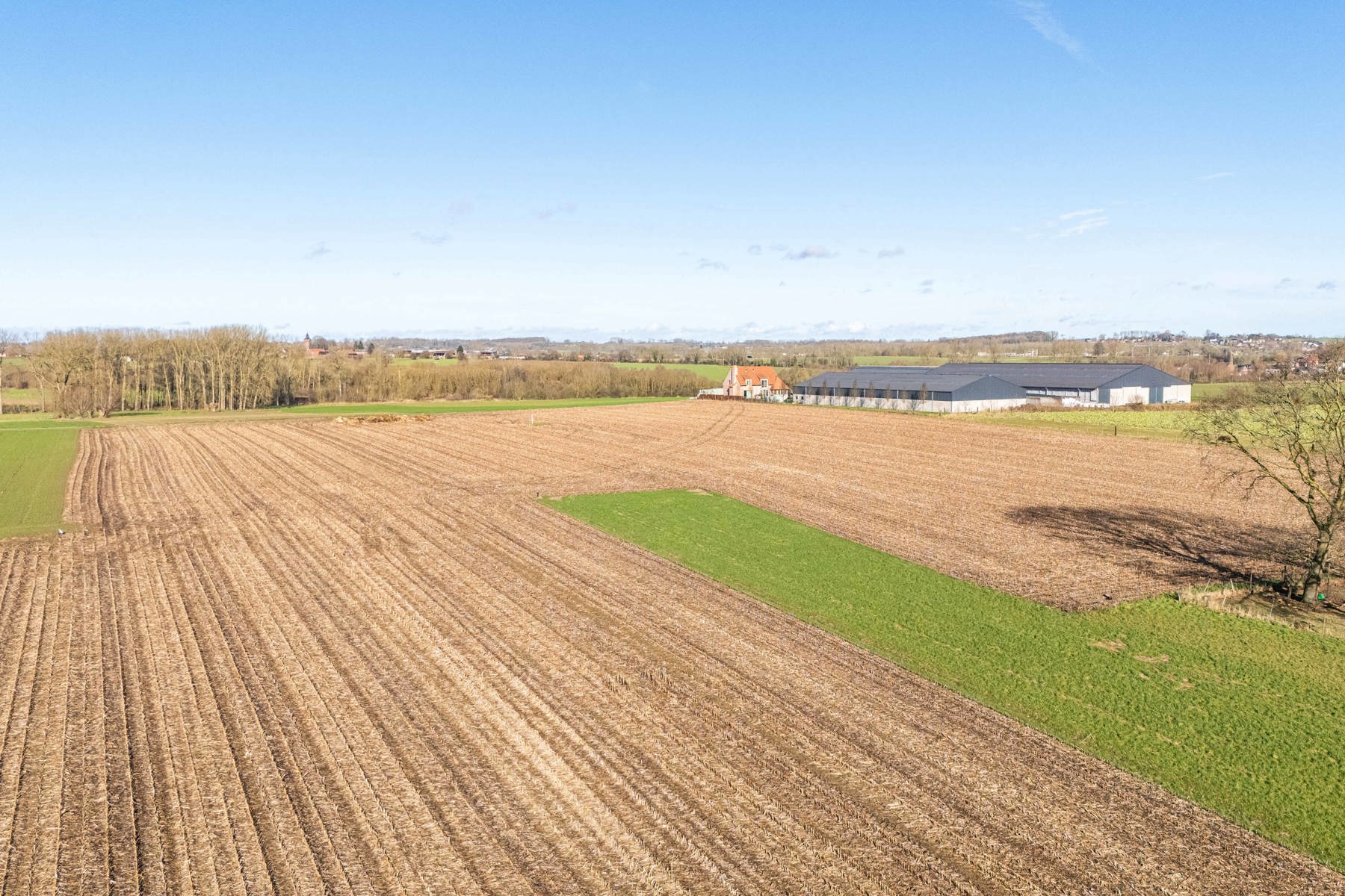 Bouwgrond 18 are voor open bebouwing te Lierde  foto 3