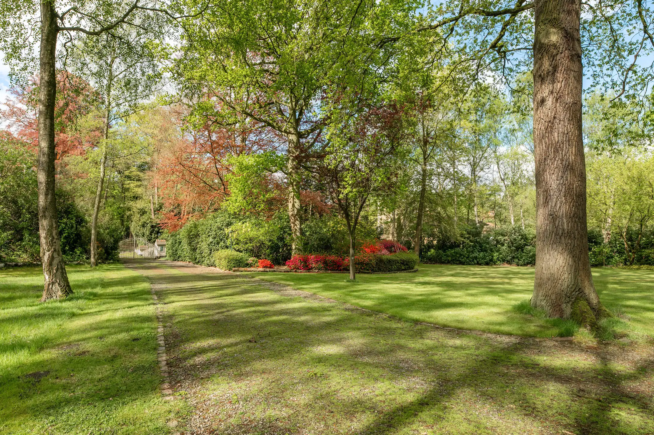 Unieke vrijstaande villa op ca. 7620m² in een uitzonderlijk domein in het groen. foto 26