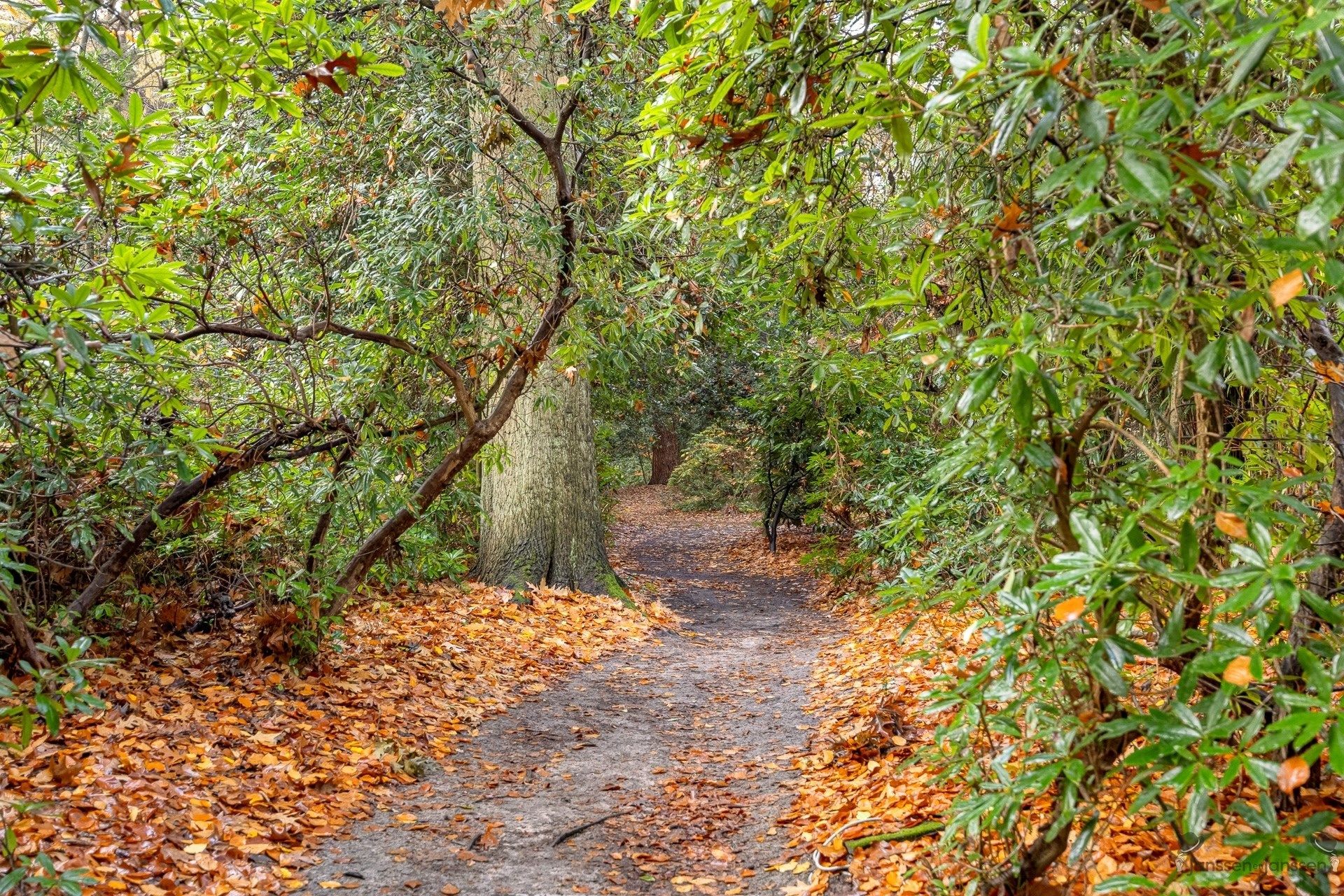 Exclusieve villa op 10.500 m² op residentiële toplocatie foto 28