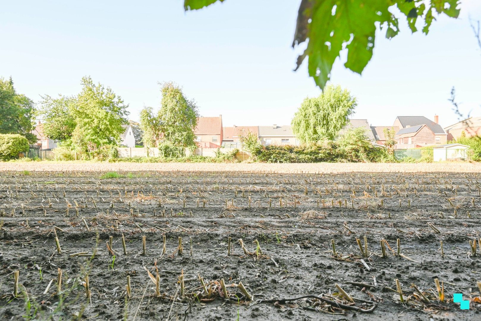 Exclusieve bouwgronden in residentiële laan te Wielsbeke foto 9