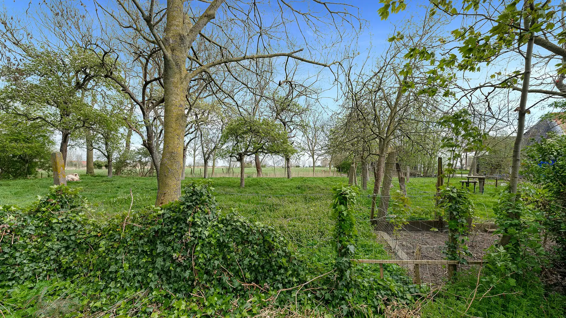 Woning met veel potentieel op een rustige locatie foto 4