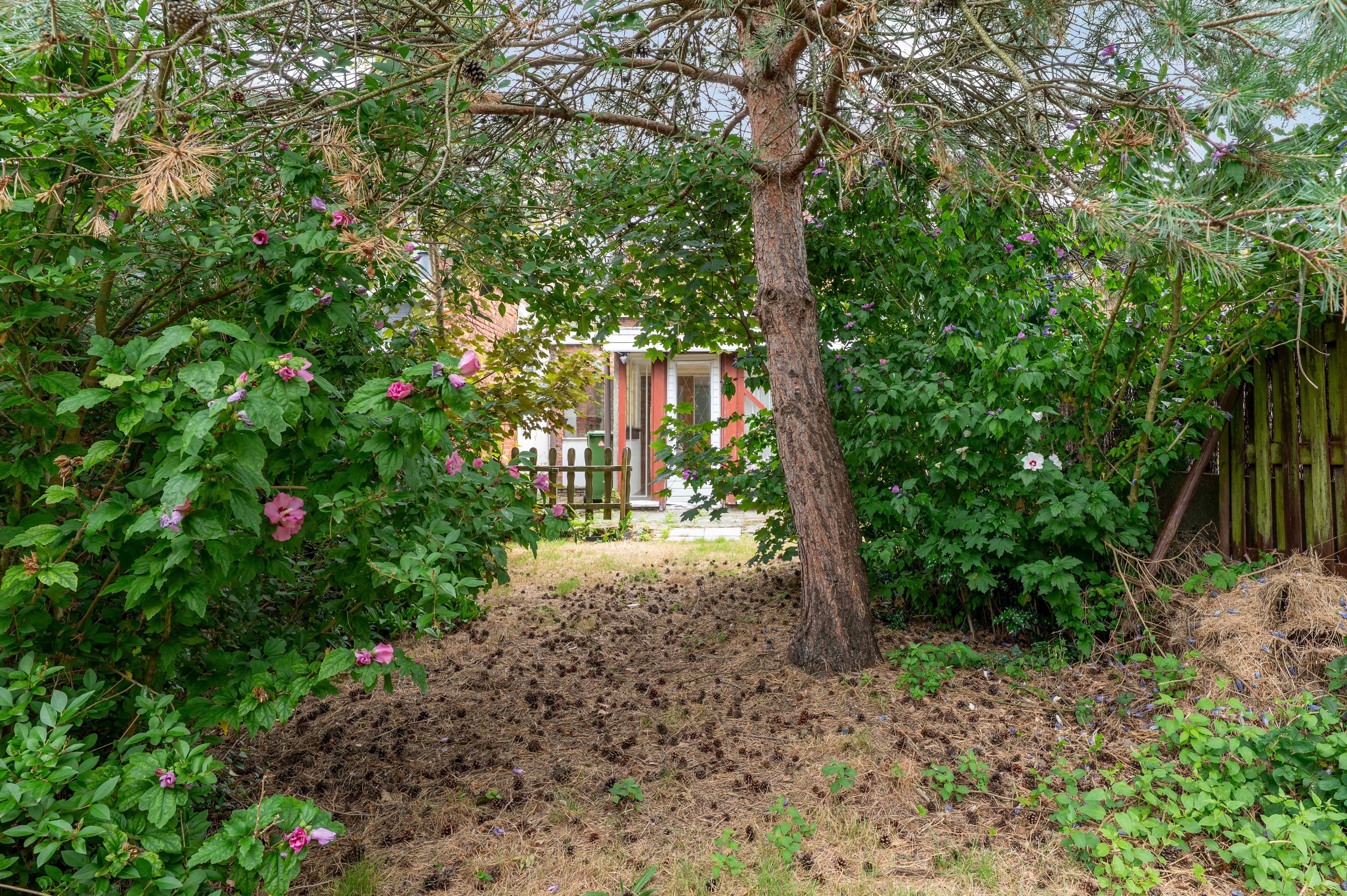 Verrassend ruime woning met mogelijkheden in Mariaburg-Ekeren! foto 16