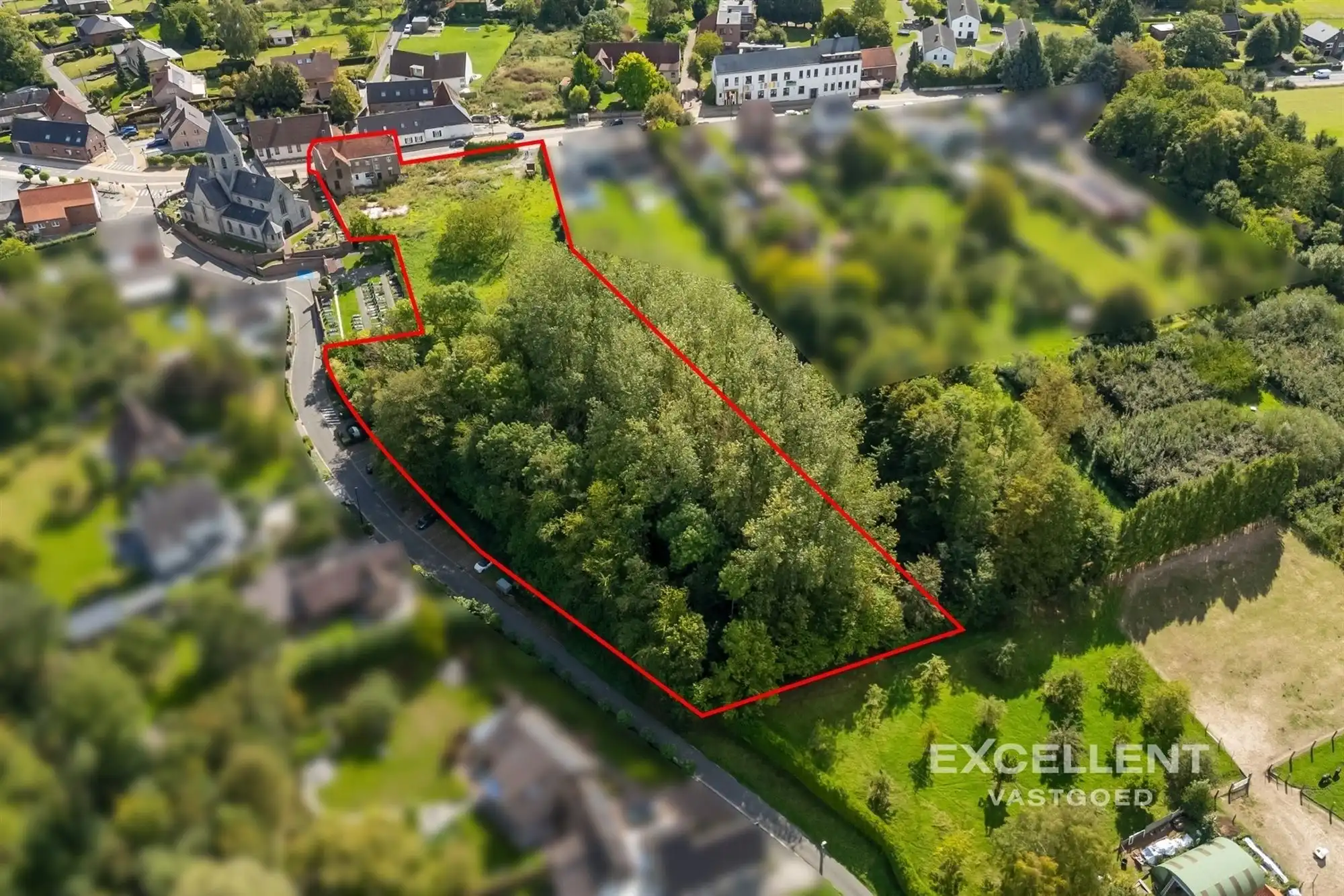 Woning met commerciële ruimte op uitzonderlijk perceel foto 14