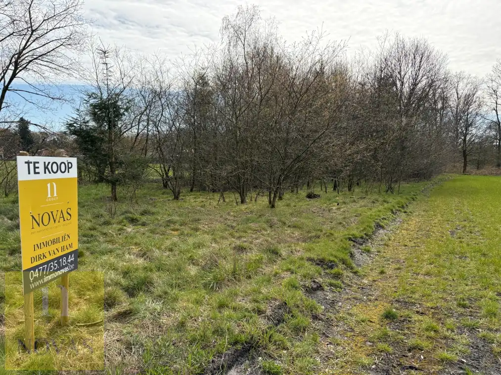 Landbouwgrond 37are 14ca op Gelderhorsten foto 2