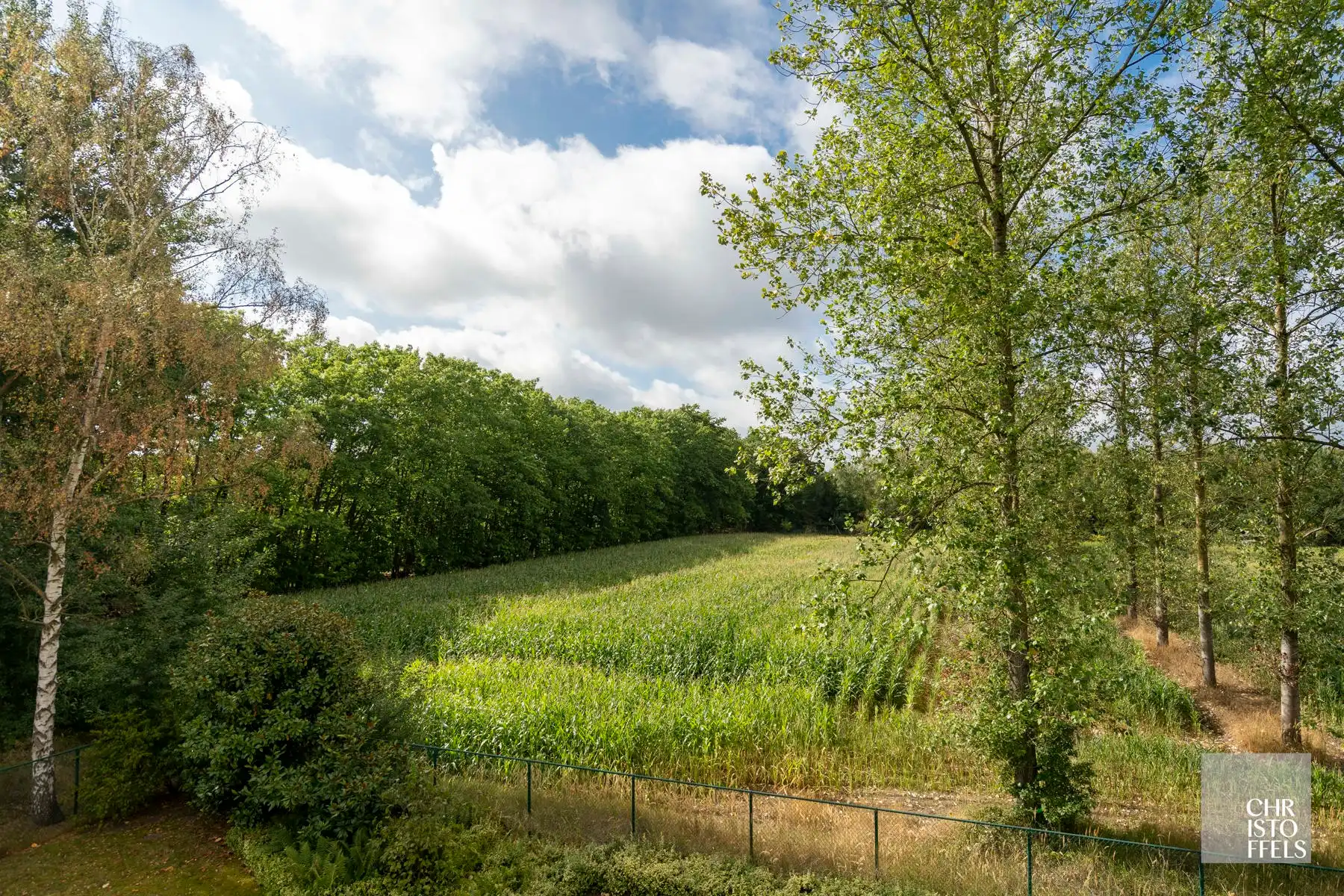 Penthouse (282 m²) met zuidgeoriënteerd terras in Hasselt! foto 3