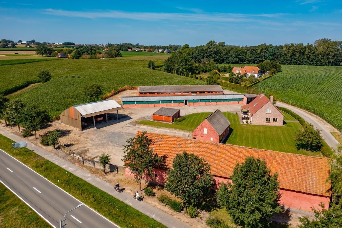 Prachtige hoeve te koop te Kruishoutem op 1,75 ha foto 10