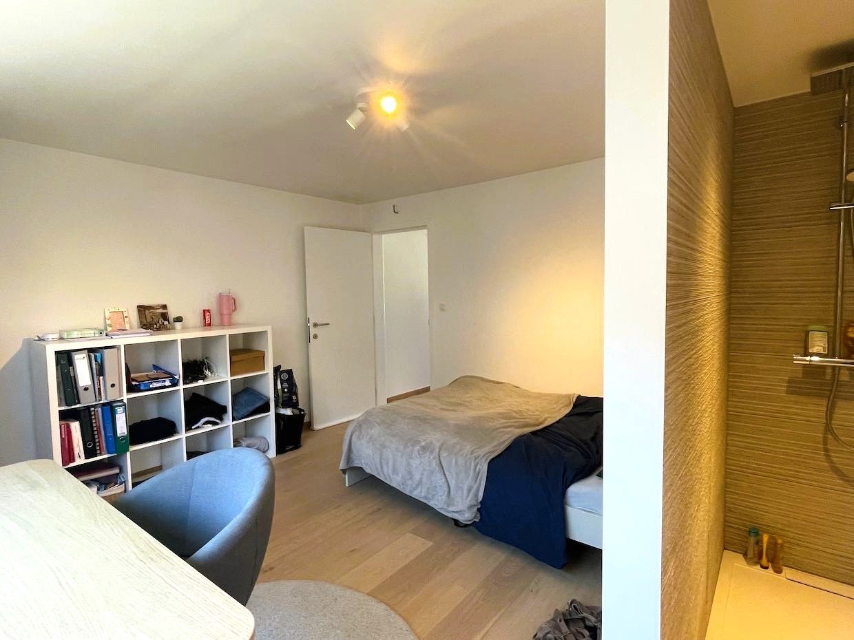 Recent gerenoveerde woning in hartje Leuven – ideaal voor co-housing! foto 15