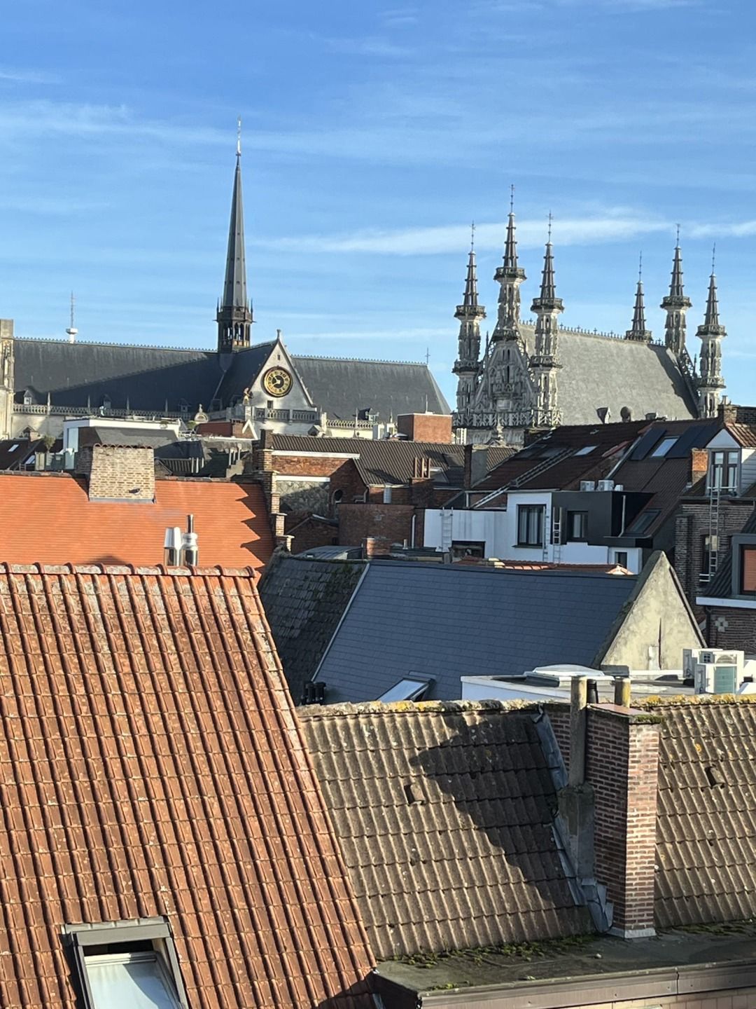 Energiezuinig duplexappartement in het hart van Leuven foto 2