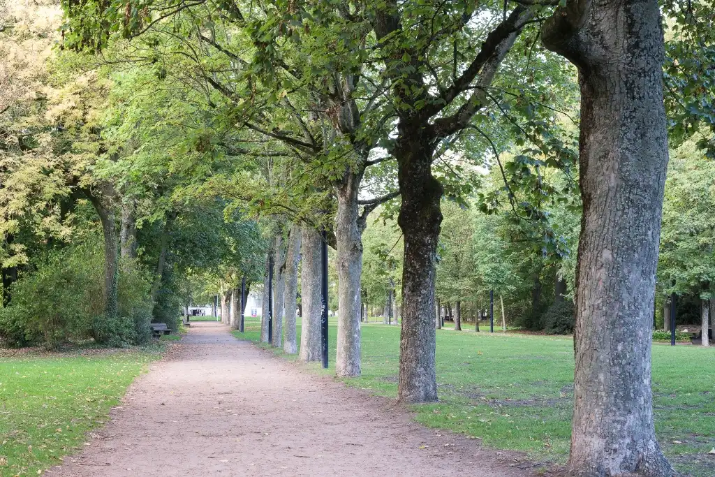 Statige, karaktervolle stadswoning met zicht op het Zuidpark foto 17