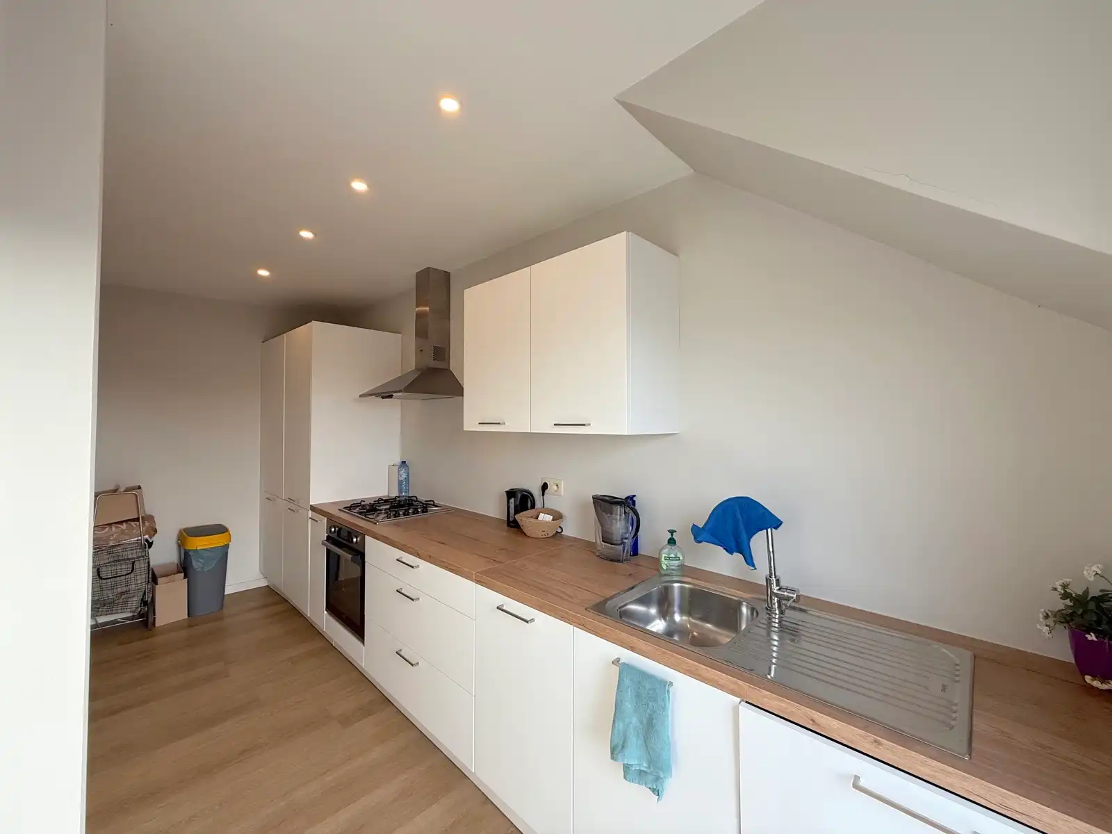 Zongericht en vernieuwd appartement met 2 slpks en terras foto 5