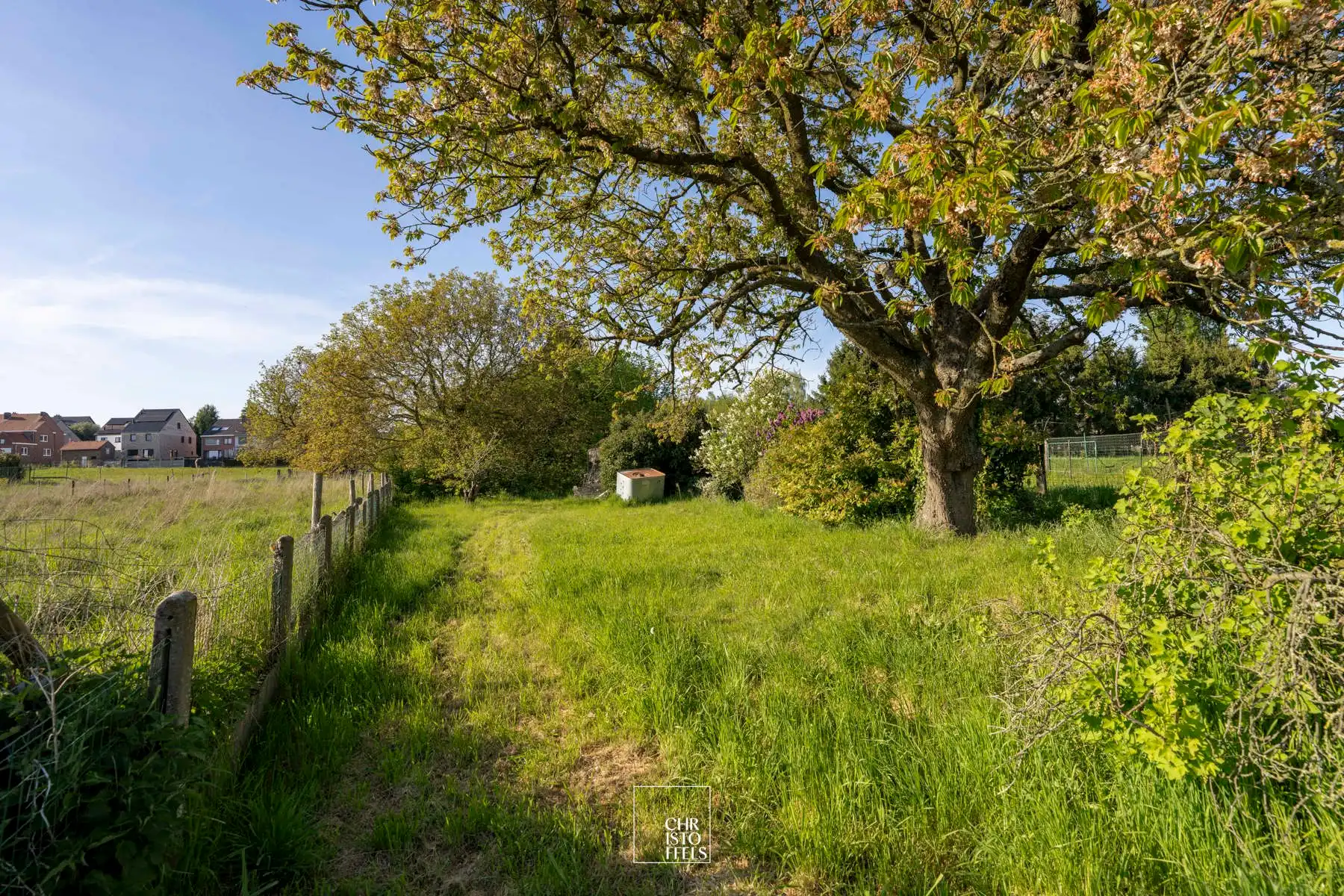 Instapklare energiezuinige woning in rustige omgeving te Lanaken! foto 14