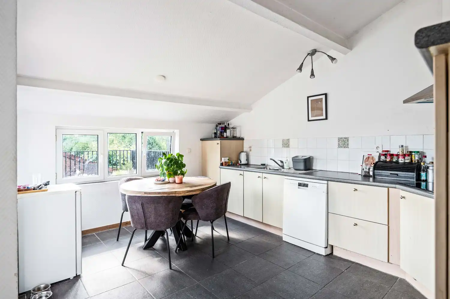 Leuke woning met riant terras en groot magazijn (235m²) te Lier foto 9