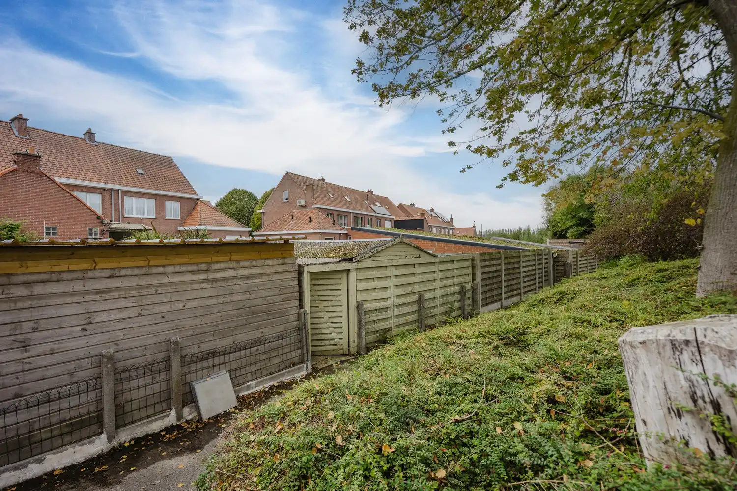 NIEUWE STRIJDER GEZOCHT! foto 22