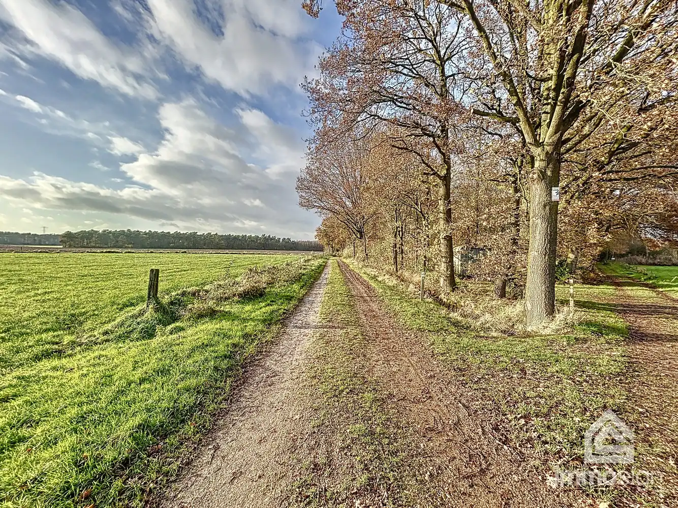 Bosgrond van maar liefst 3HA12A groot foto 2