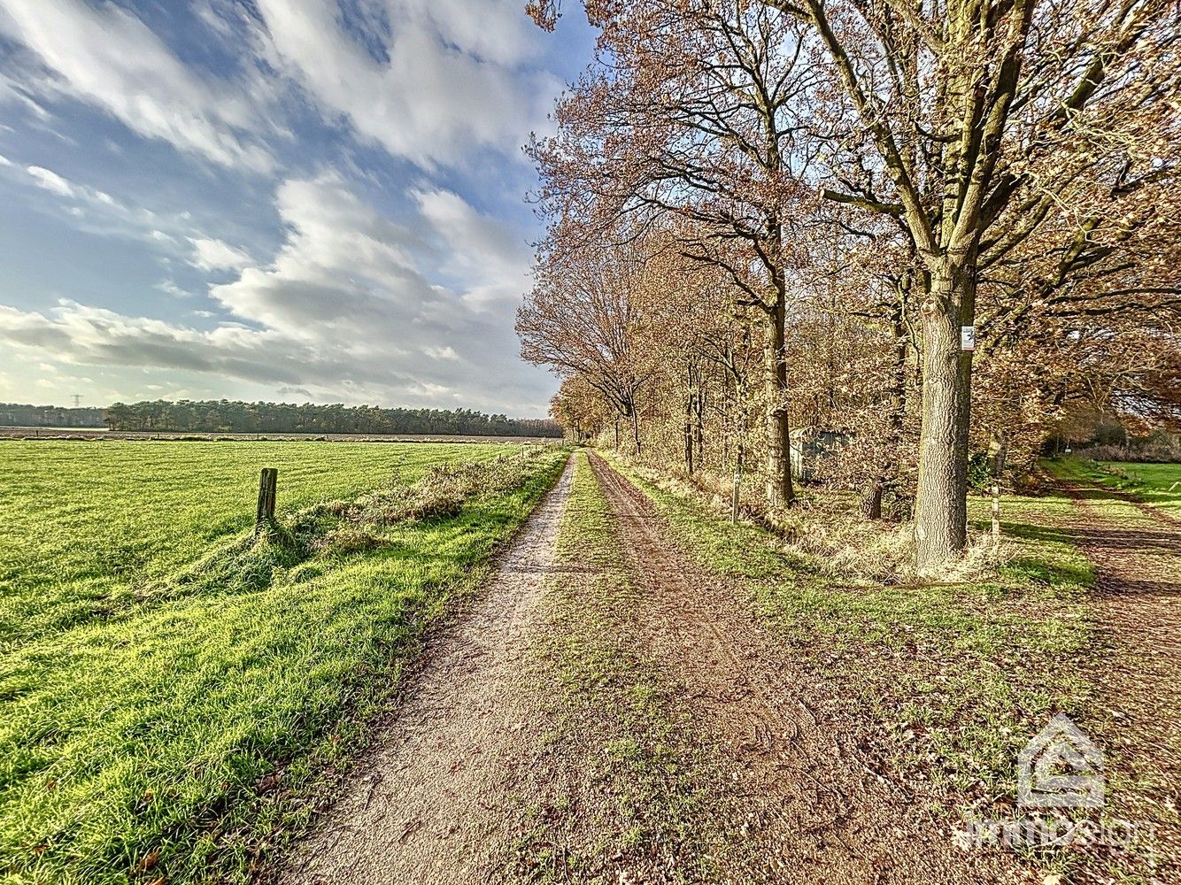 Bosgrond van maar liefst 3HA12A groot foto 2