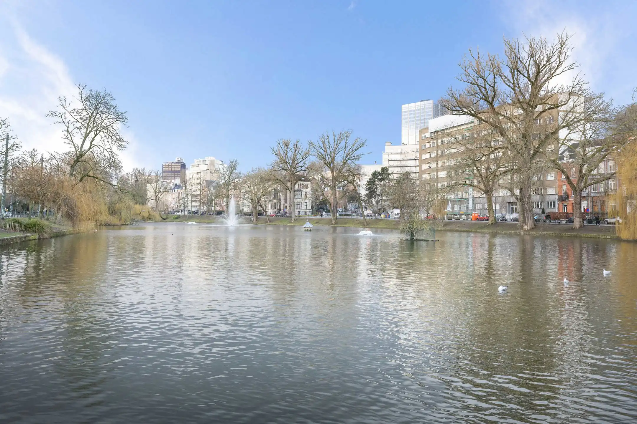 Een architecturaal parel van Léon Delune foto 37