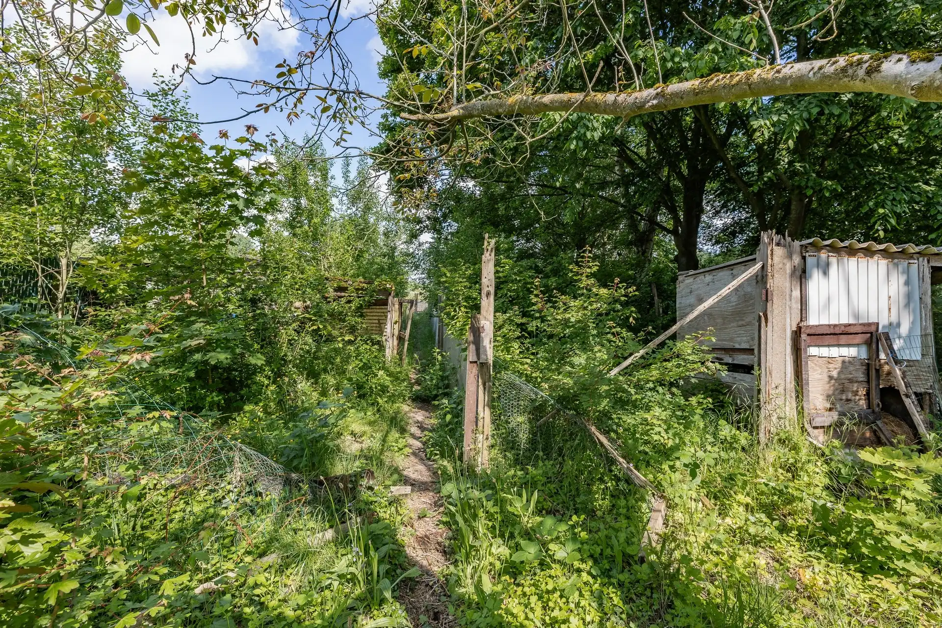 Halfopen bebouwing met enorm potentieel op een perceel van maar liefst 1.050 m² foto 24
