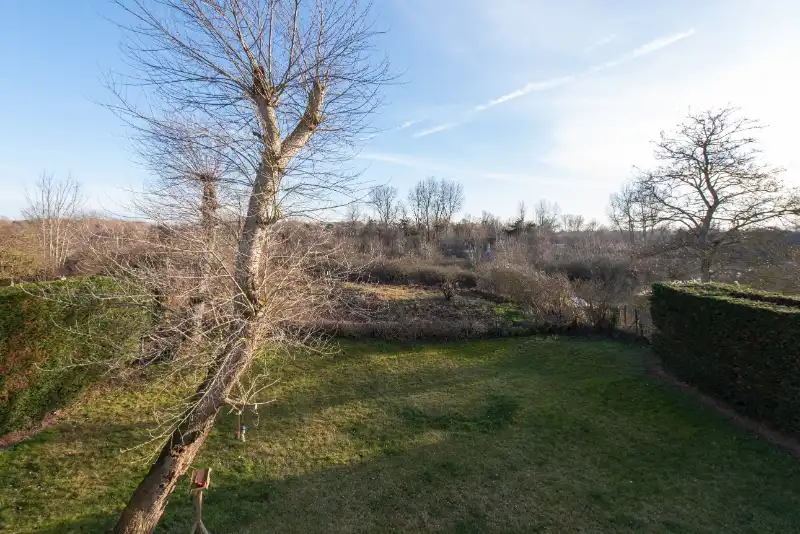 Villa 4 slaapkamers met uitzicht op het duinenreservaat te koop foto 12