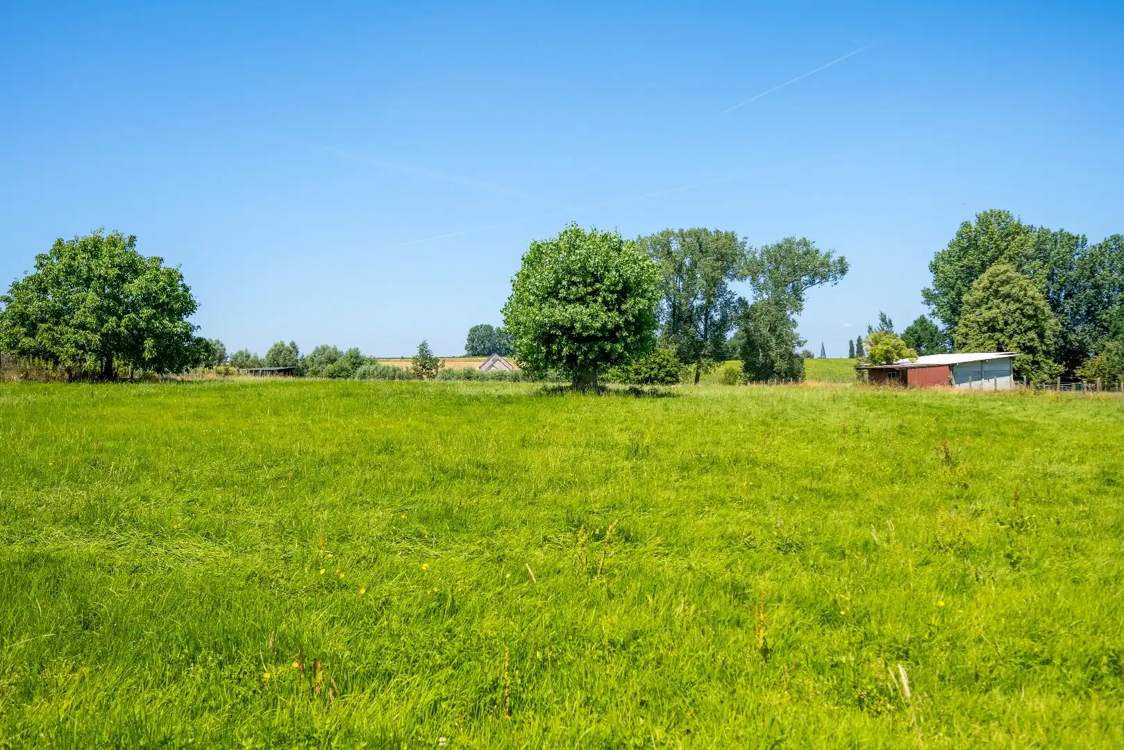 Ruime gezinswoning met weide op 7065m² foto 21