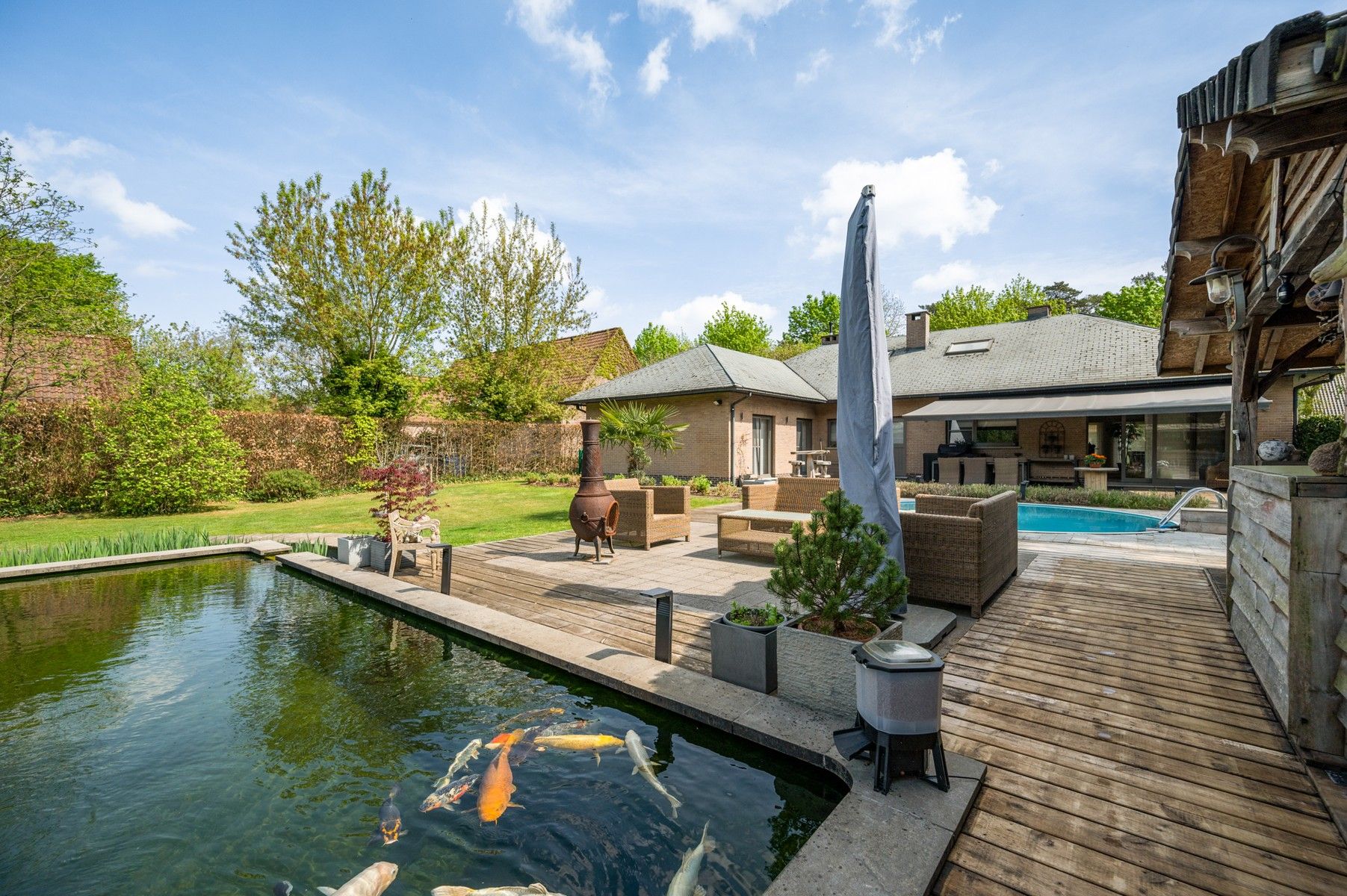 Laagbouwvilla op 2.027 m² met ideale oriëntatie foto 5