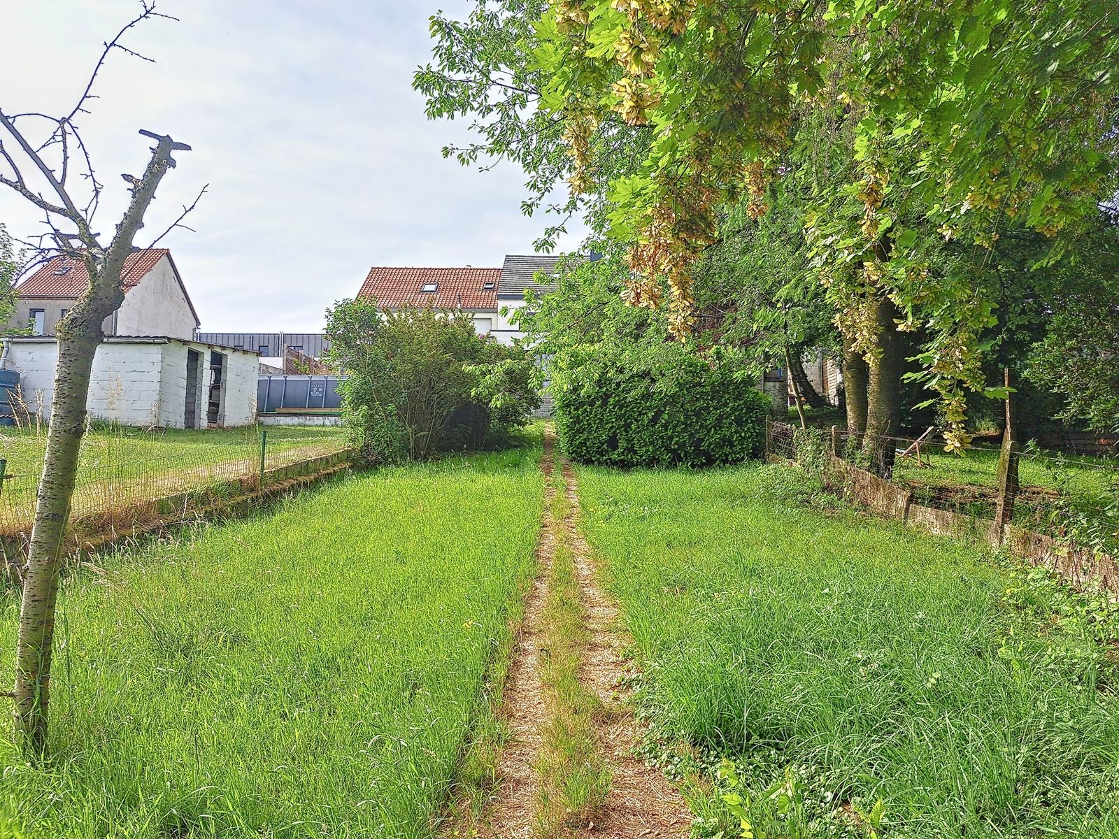 Huis te huur foto 16