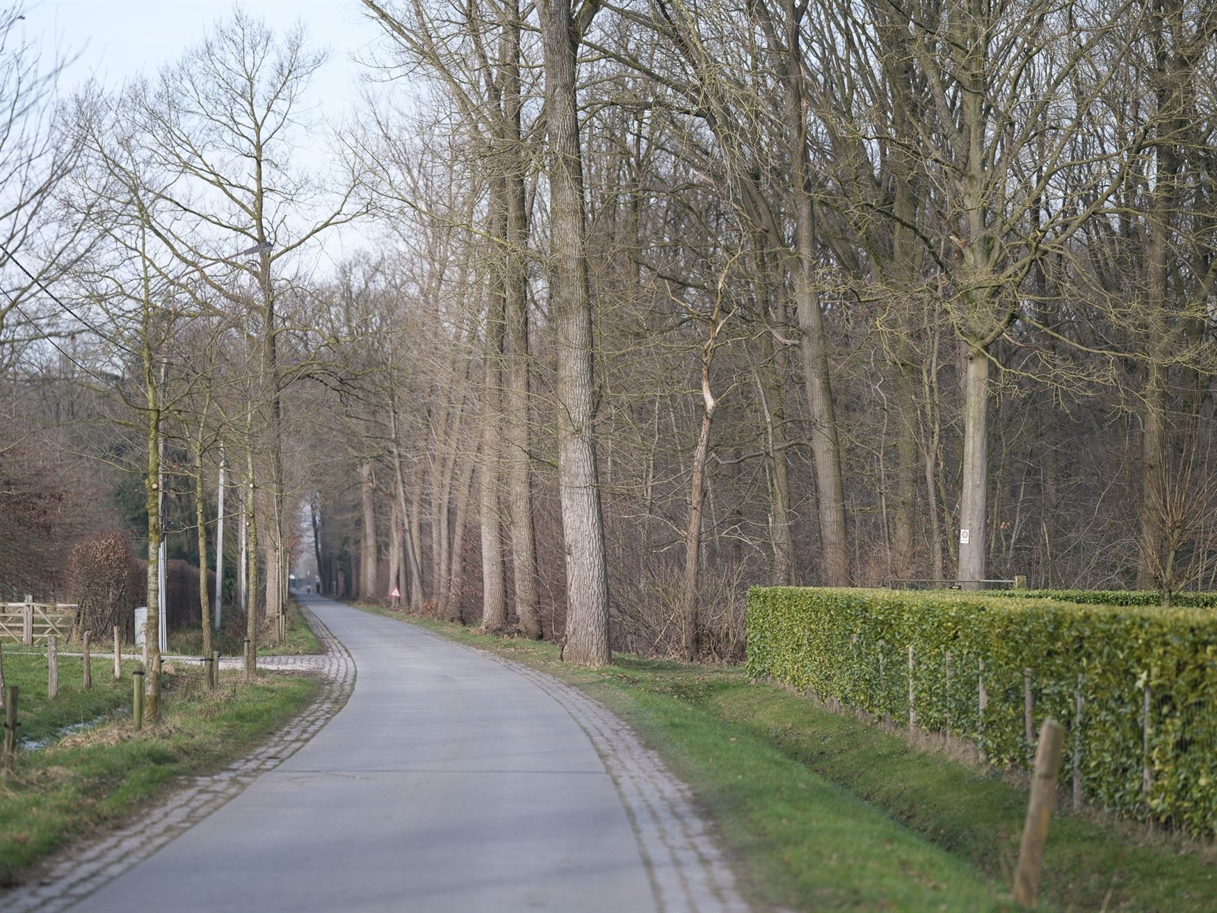 Villa met bijgebouwen op de grens met Hansbeke foto 2