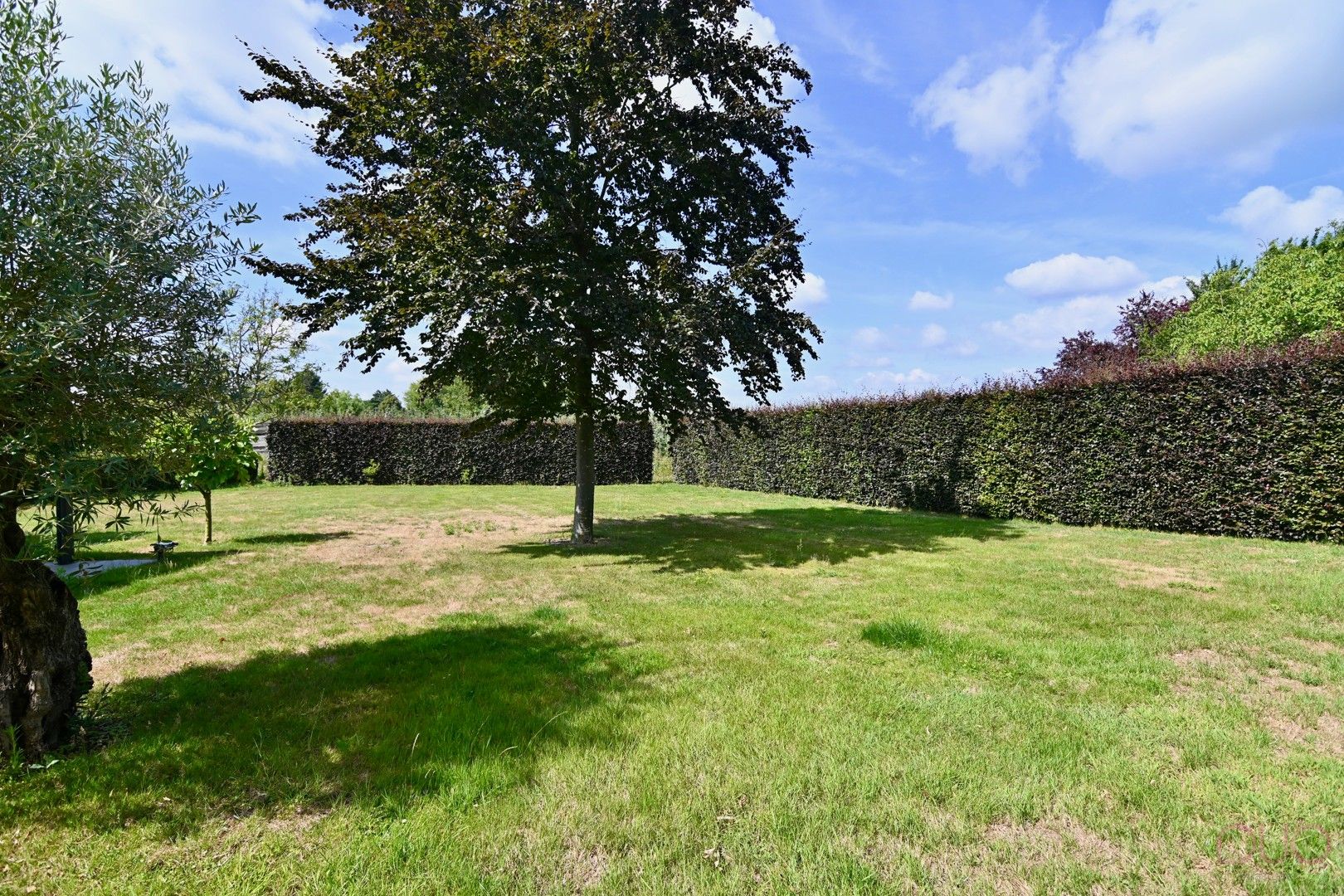 Ruim handelspand van ca. 300m2, met werkruimte in kelder en bovenliggende woonst van ca. 117m2 foto 20