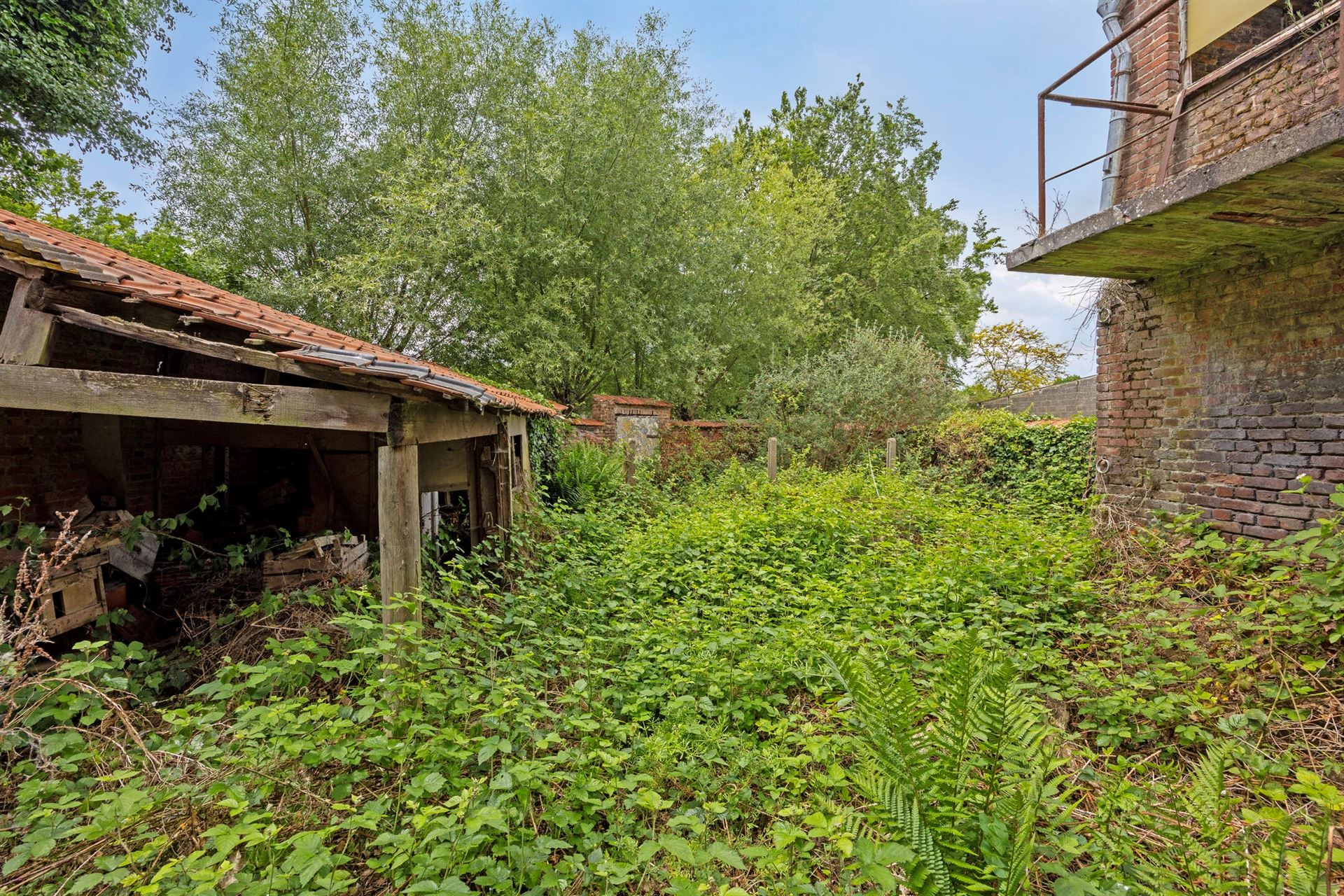 Handelshuis / tweewoonst / kangeroewoning / ... foto 39
