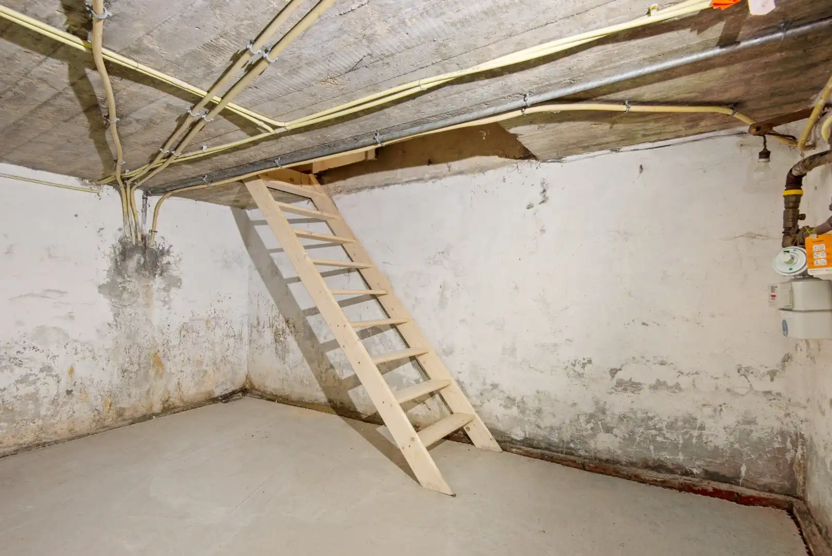Te renoveren woning met bouwgrond en veel potentieel op rustige ligging in Puurs-Sint-Amands! foto 21