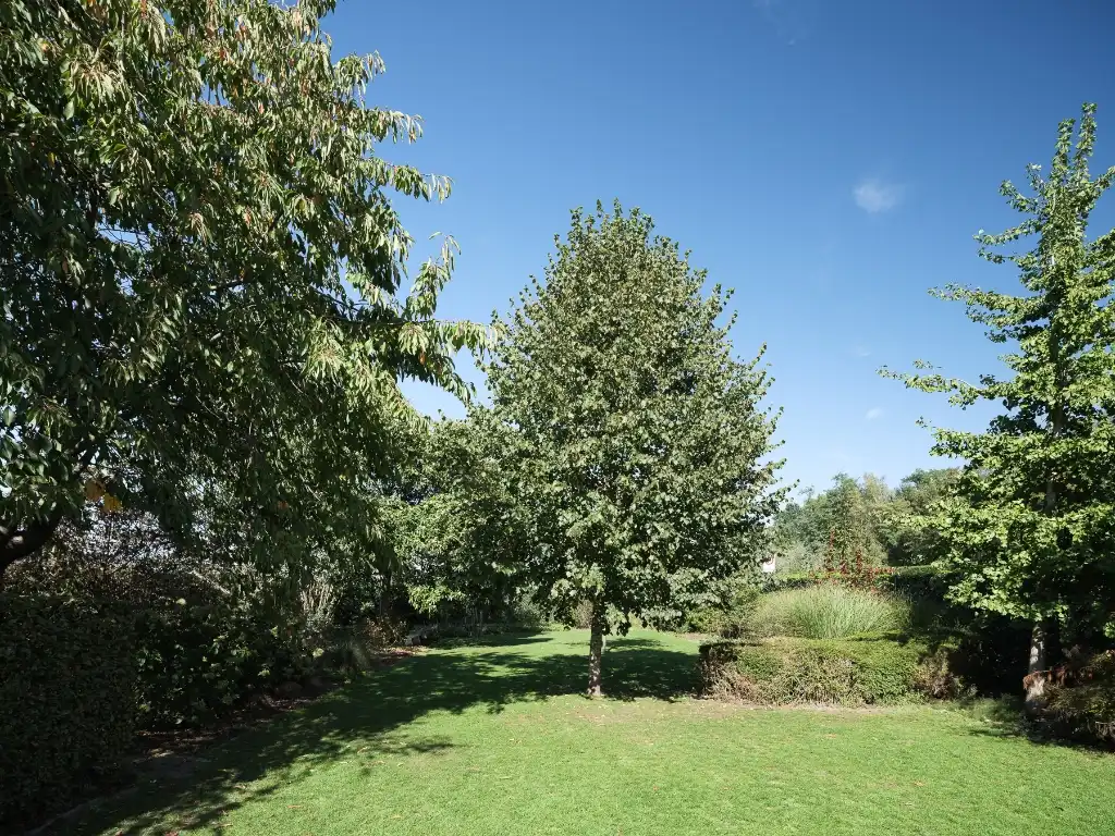 Karaktervolle gezinswoning met 4 slaapkamers, een bijbouw en een volwassen tuin foto 19