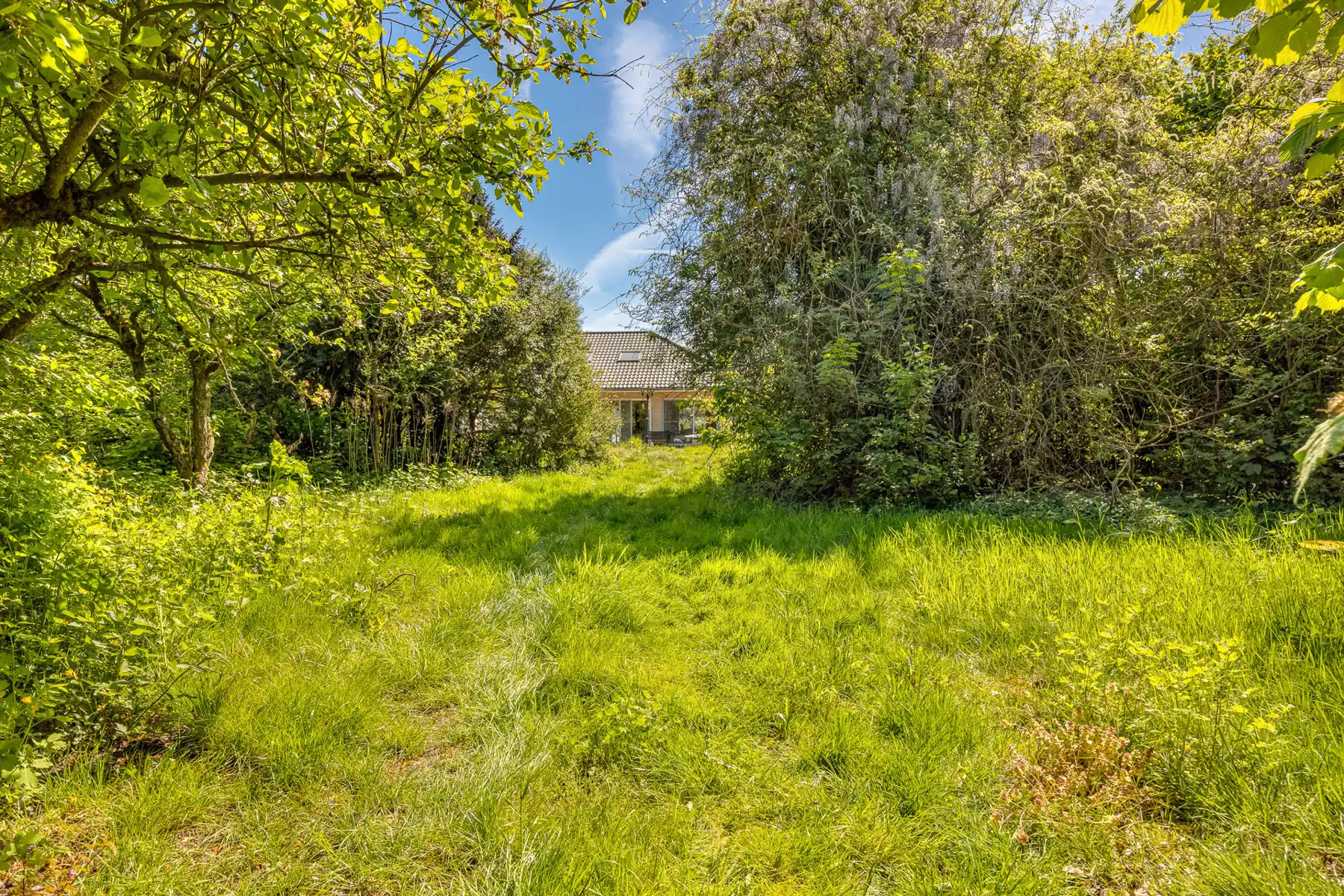 Vrijstaande villa met kantoor op prachtig perceel (6.708m²)! foto 6
