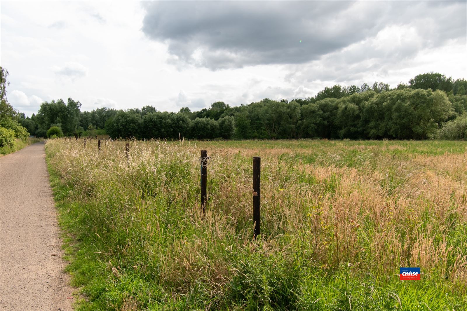 PRACHTIG LANDHUIS MET PRAKTIJKMOGELIJKHEDEN EN ZWEMBAD OP EEN TOTALE OPPERVLAKTE VAN 10a 50ca  foto 41