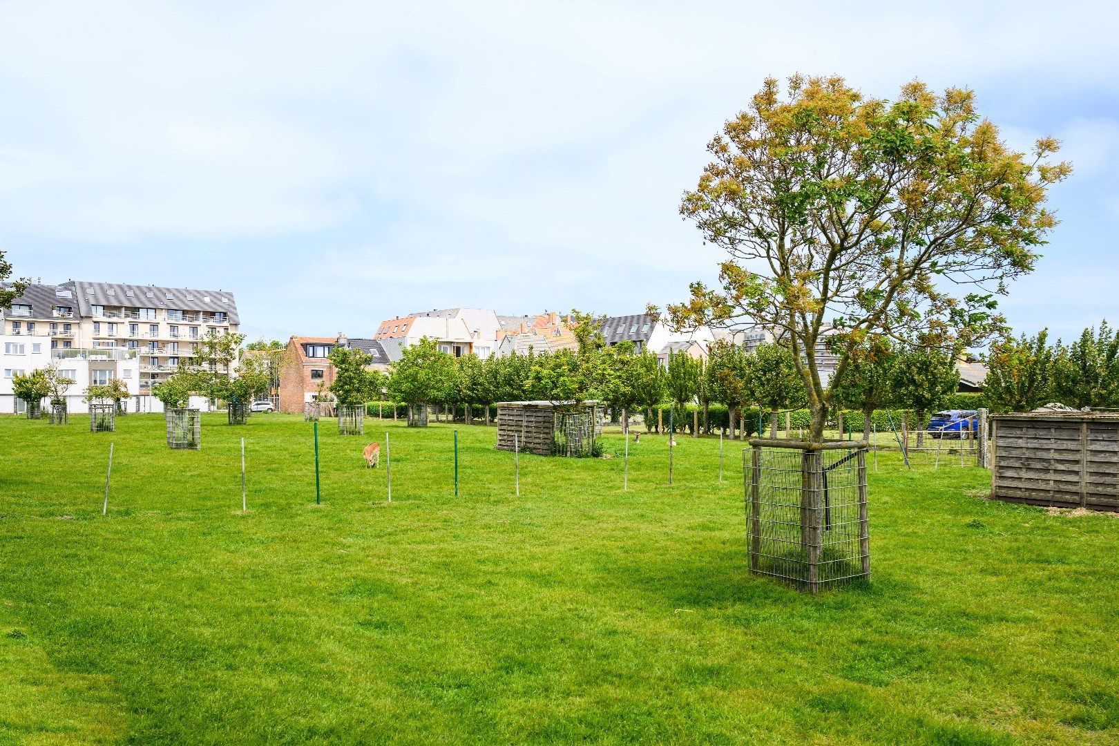 Kleinschalig nieuwbouwproject in het bruisende Bredene foto 15