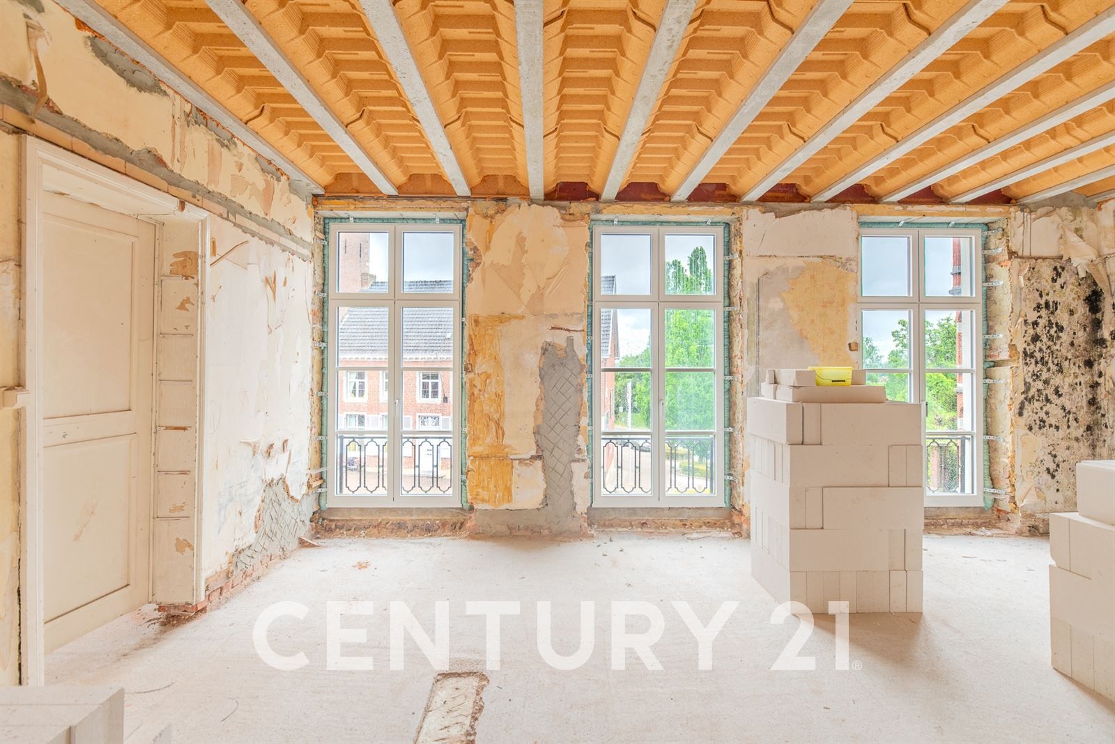 Herenhuis met enorm potentieel foto 4