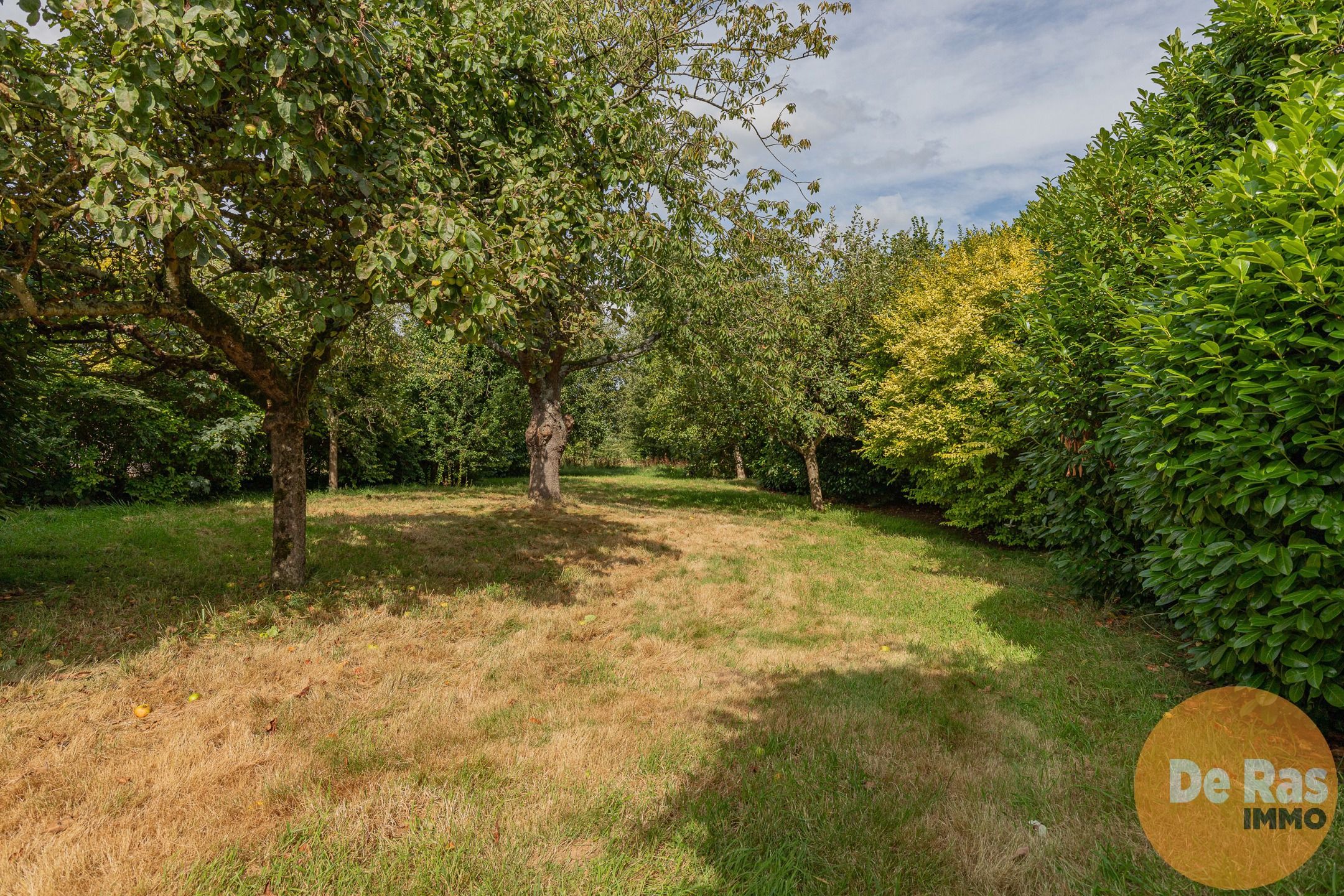 HERZELE- Goed onderhouden 4-gevelwoning op een mooi perceel foto 7