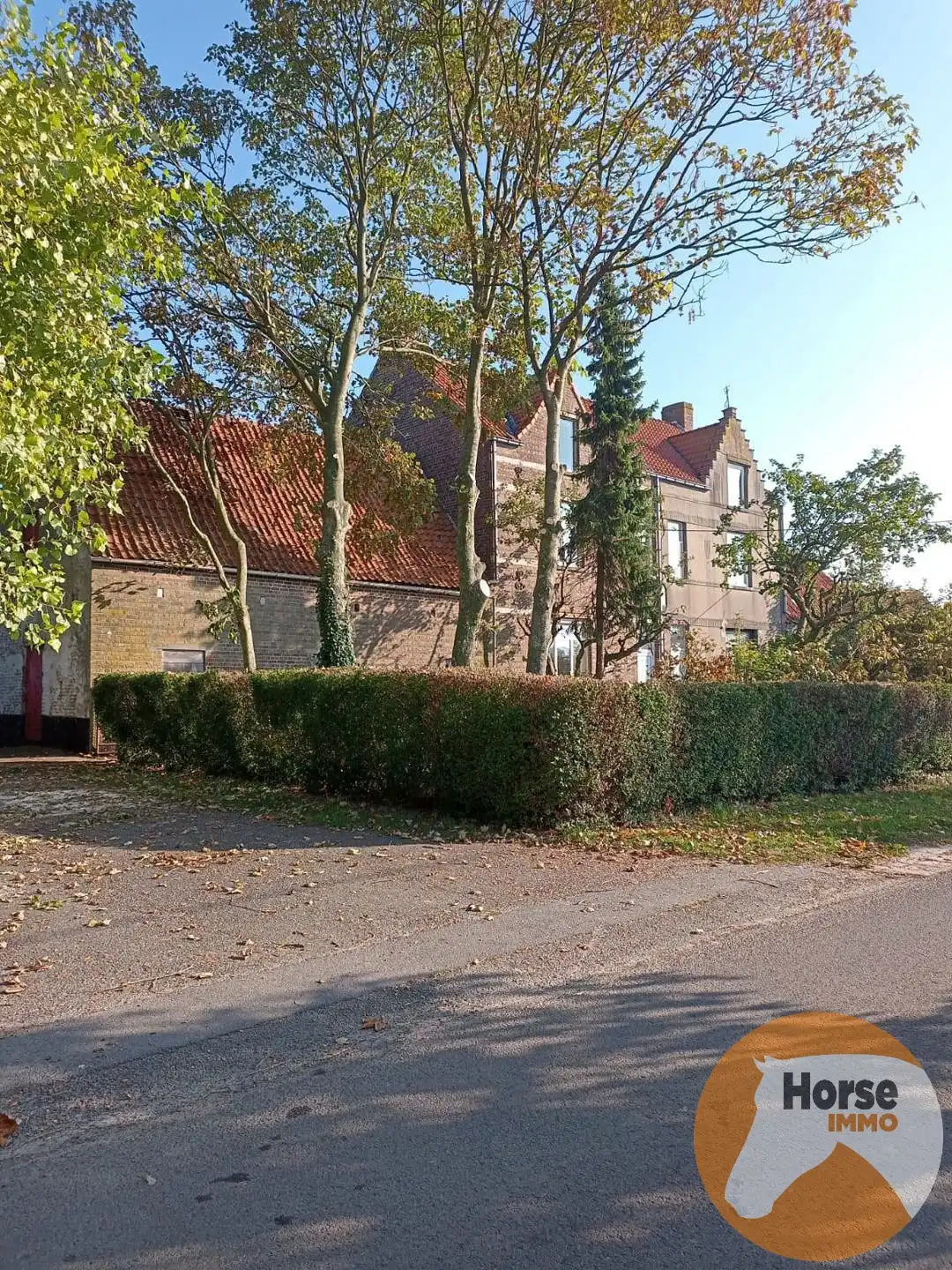 OUDENBURG - Hoevewoning op +- 3 ha foto 19