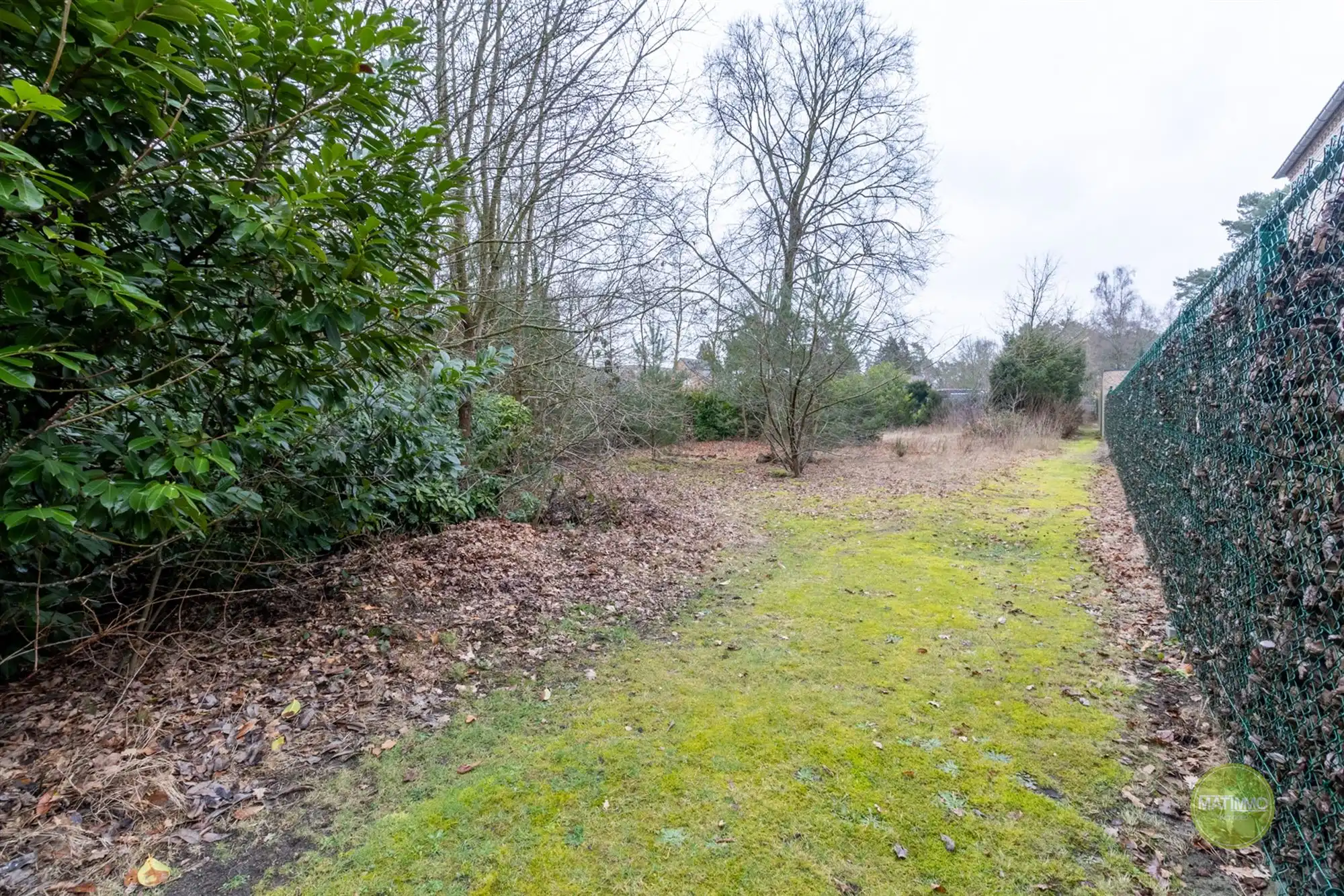 Ruime bouwgrond voor open bebouwing in het groene Mol-Rauw  foto 5