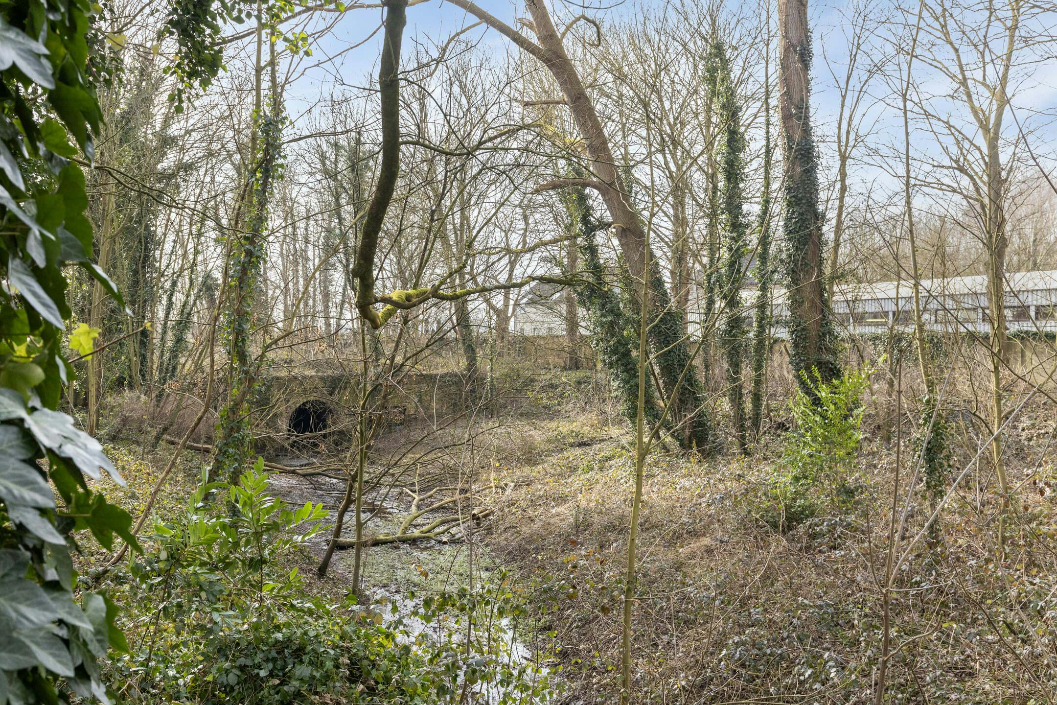 Te renoveren Industrieel gebouw in Noeveren 257 te Boom foto 16