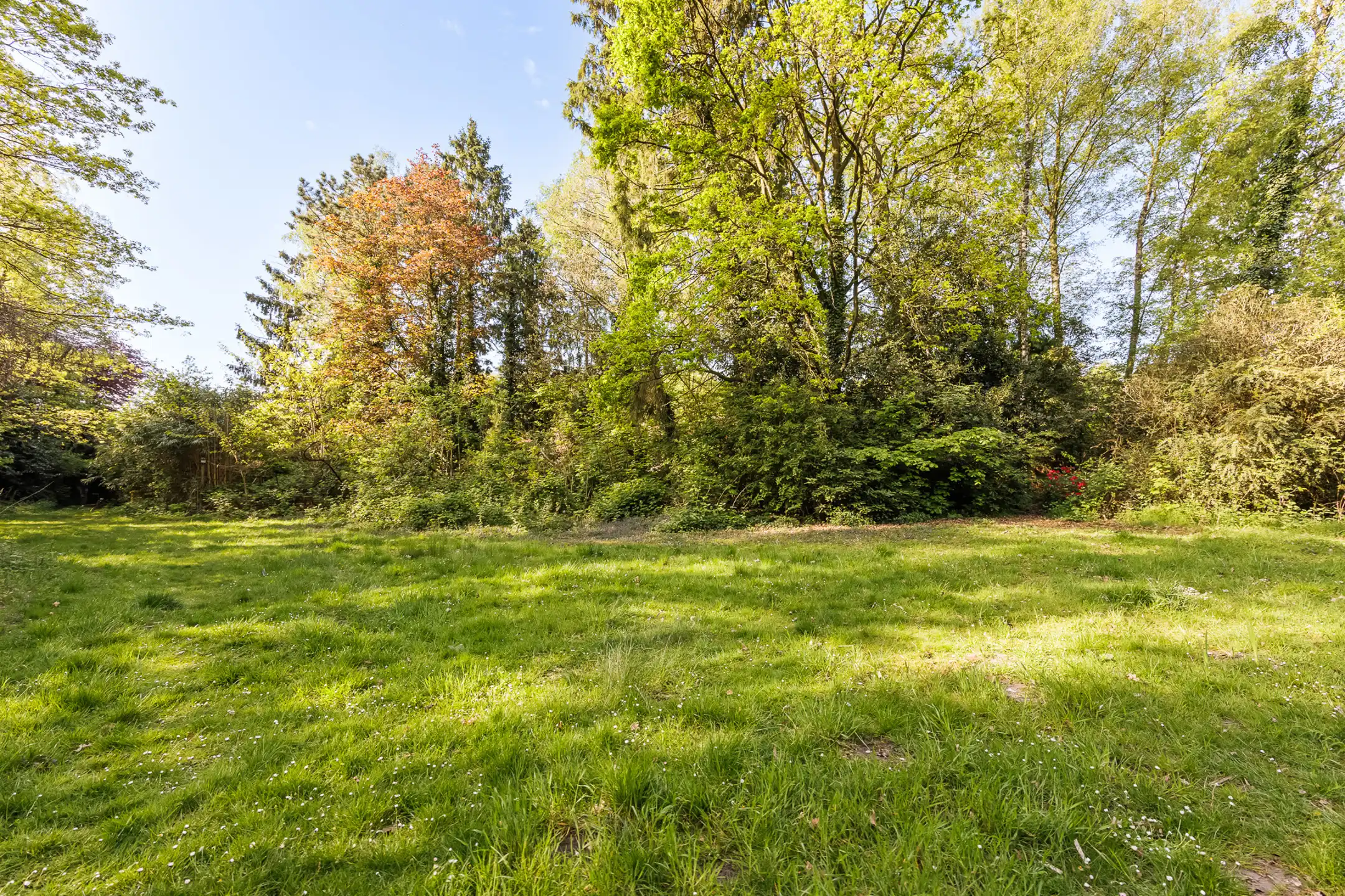 Gezellige, op te frissen, vakantiewoning nabij het kanaal Dessel-Schoten. foto 34