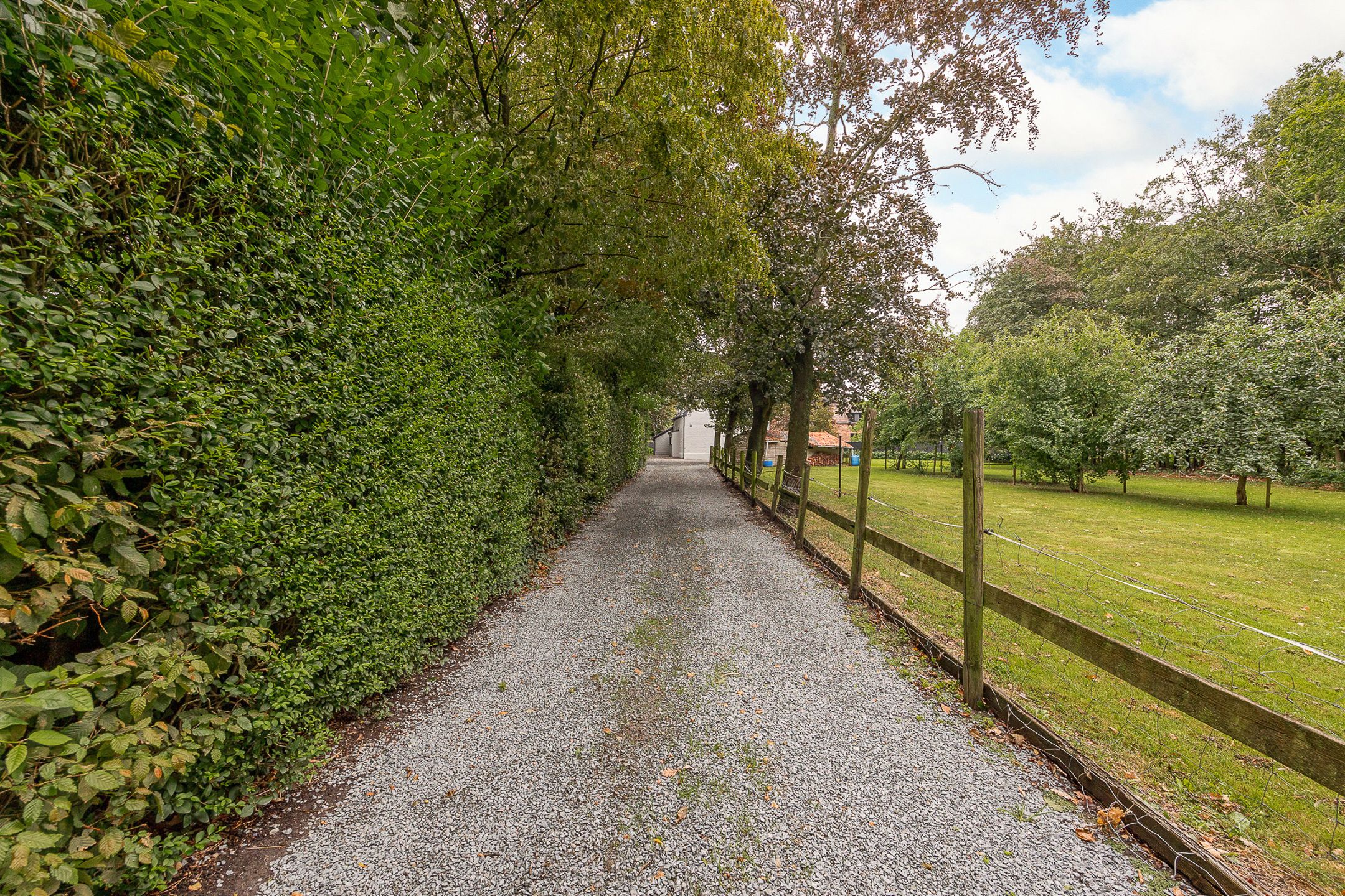 Volledig gerenovereerde hoeve op achterliggend perceel foto 3