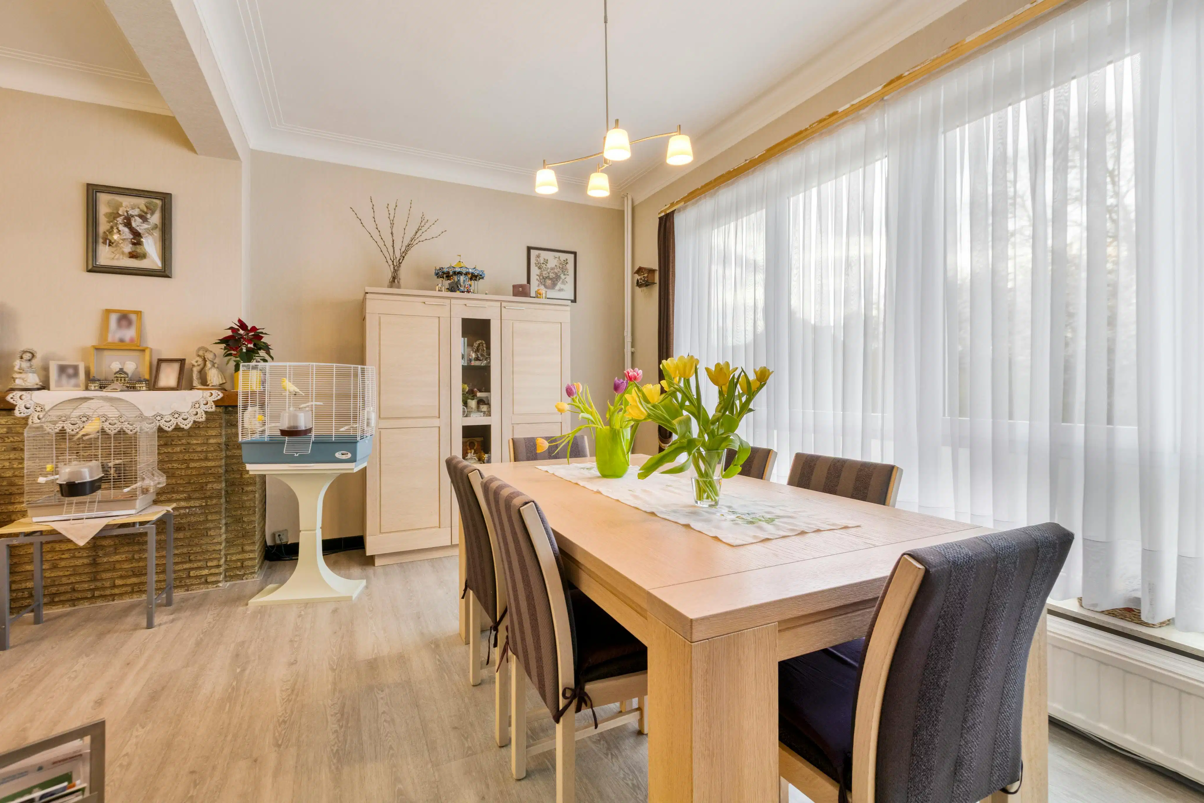 Huis met garage en stadstuin vlakbij centrum Vilvoorde  foto 4